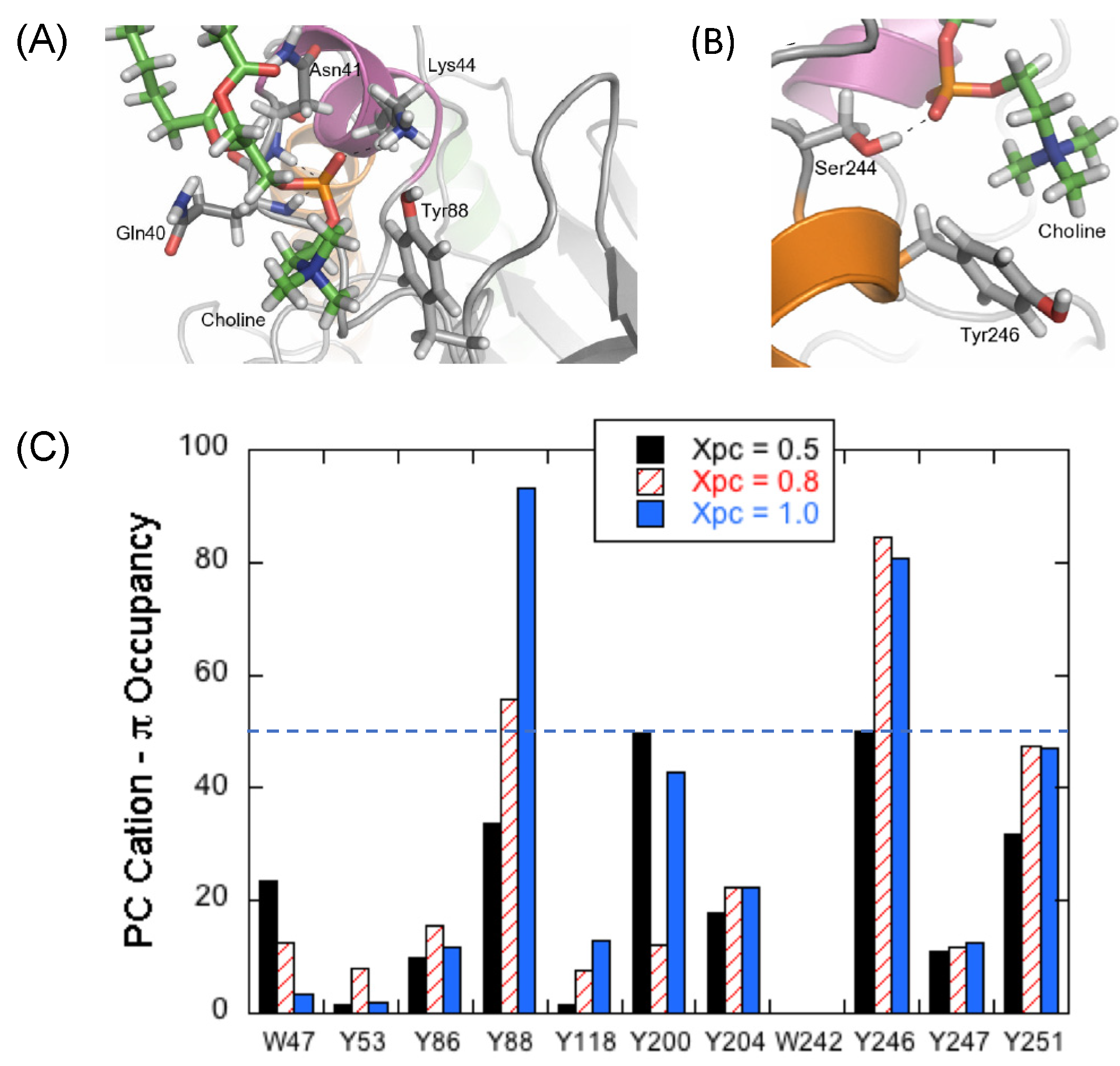 Molecules 27 06184 g006 Molecules 27 06184 g006