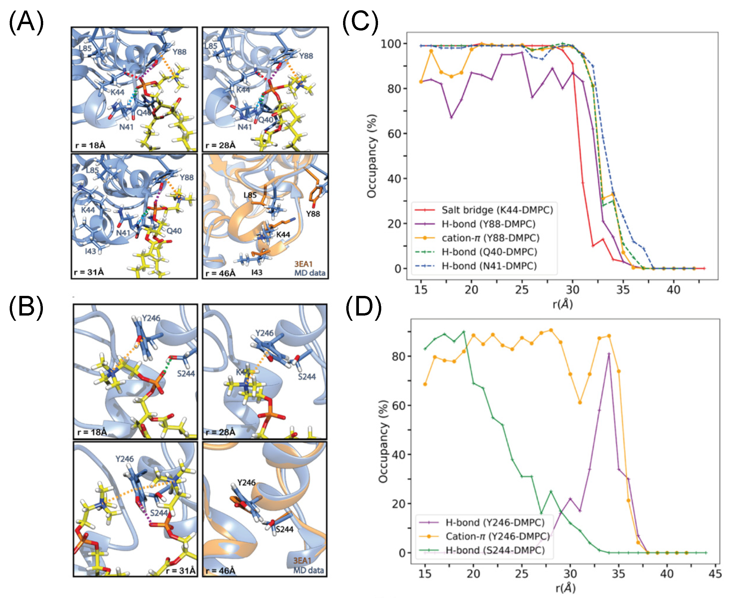 Molecules 27 06184 g007 Molecules 27 06184 g007