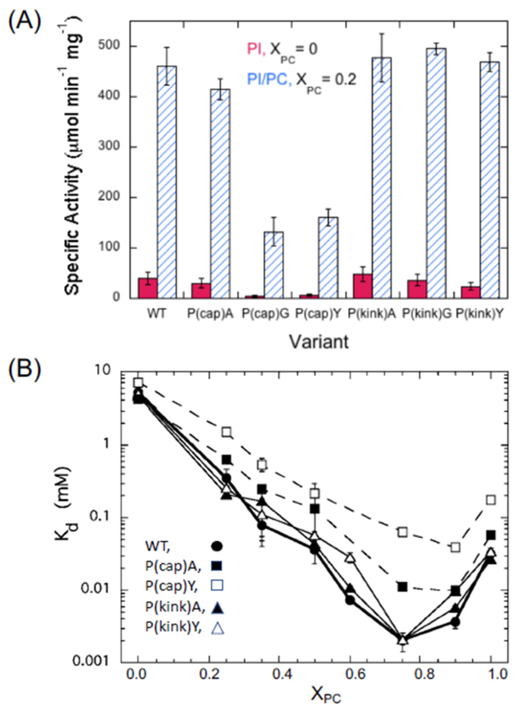 Molecules 27 06184 g009 Molecules 27 06184 g009