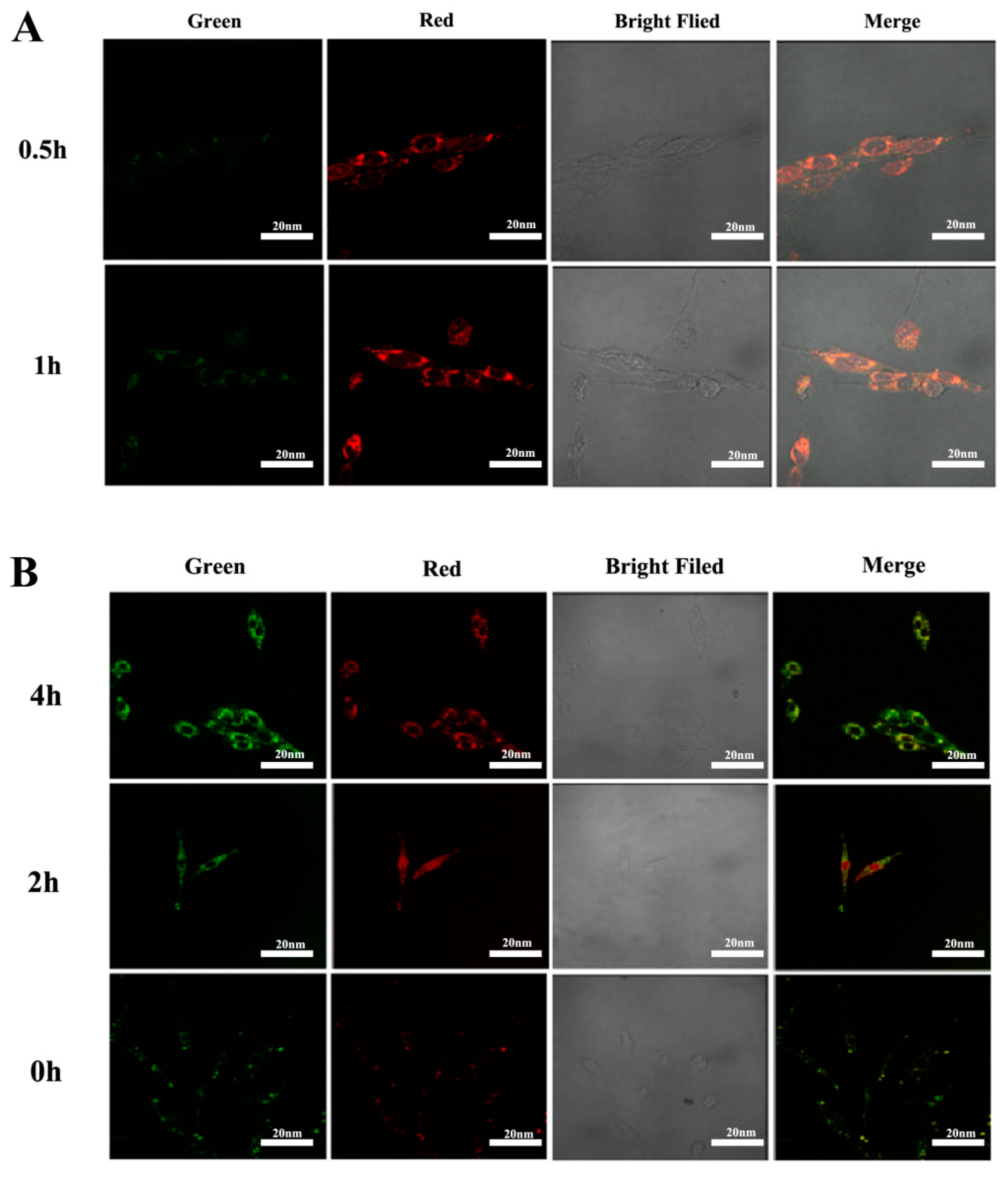 Molecules 27 06201 g004