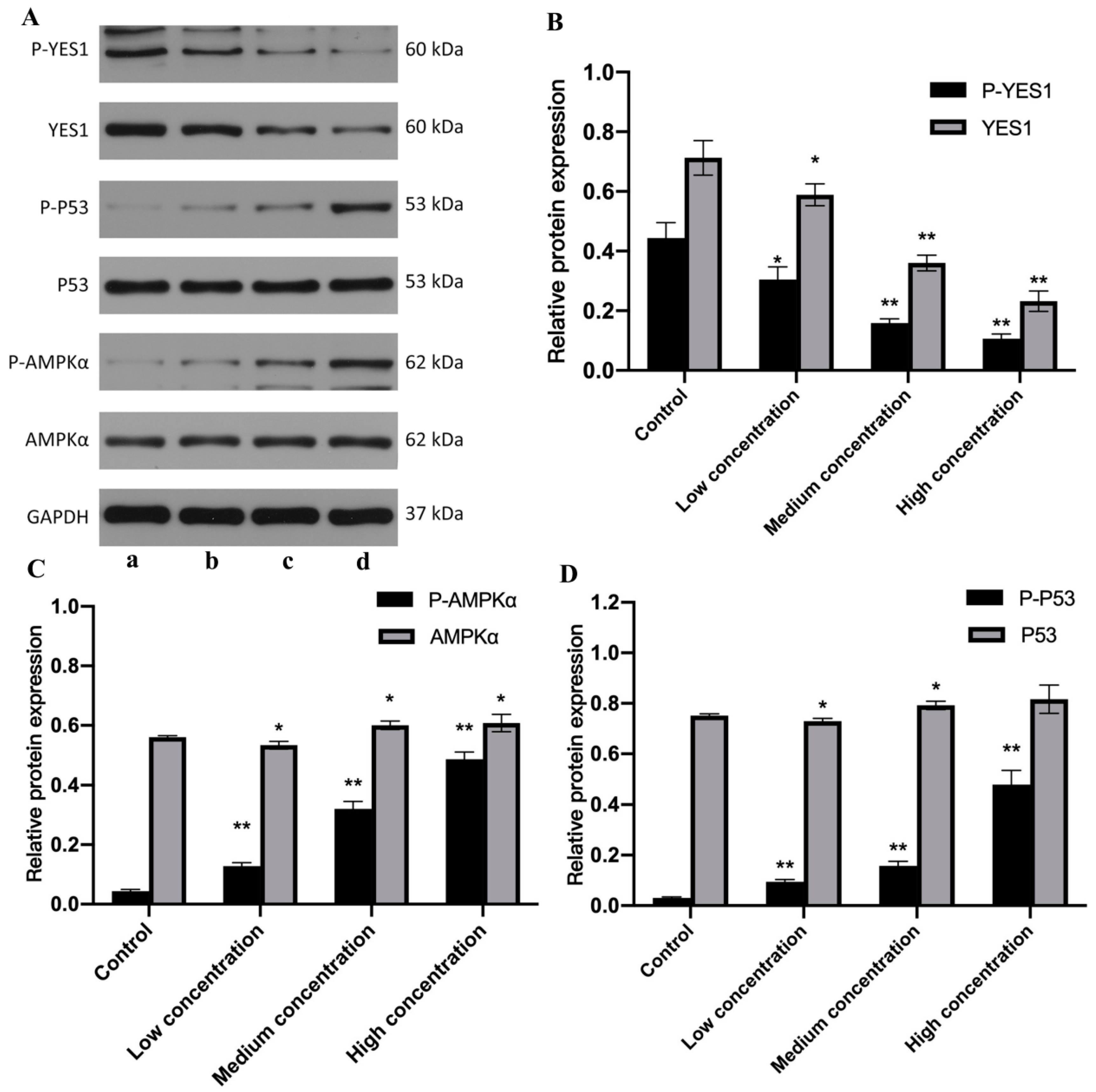 Molecules 27 06201 g007