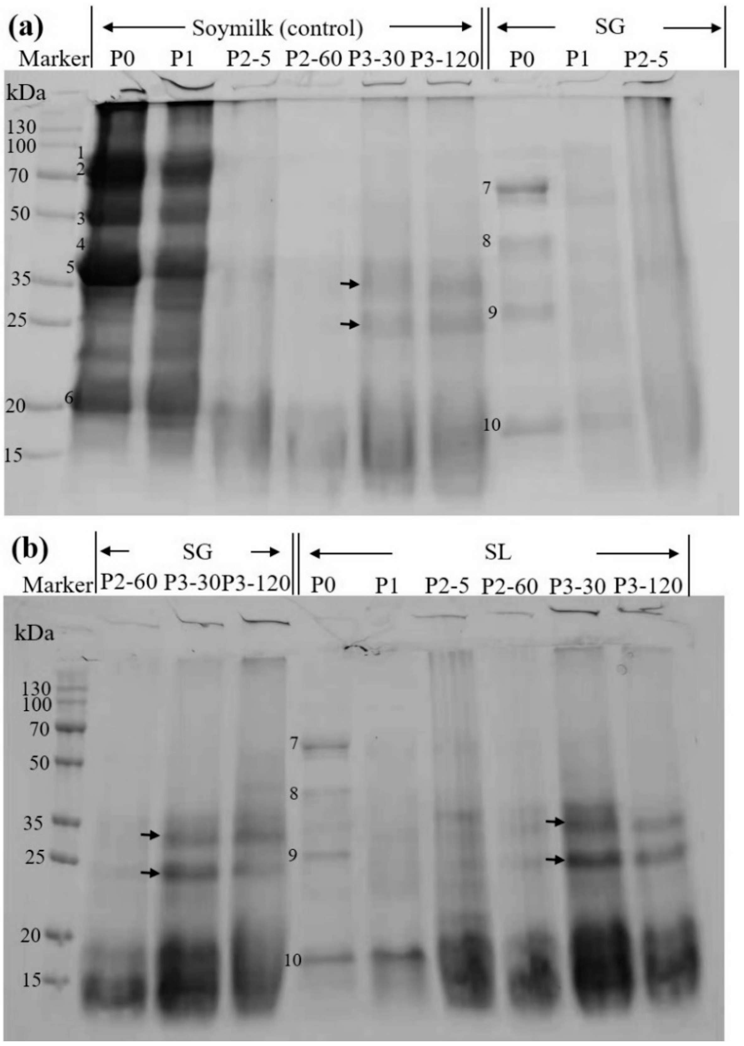 Molecules 27 06202 g004