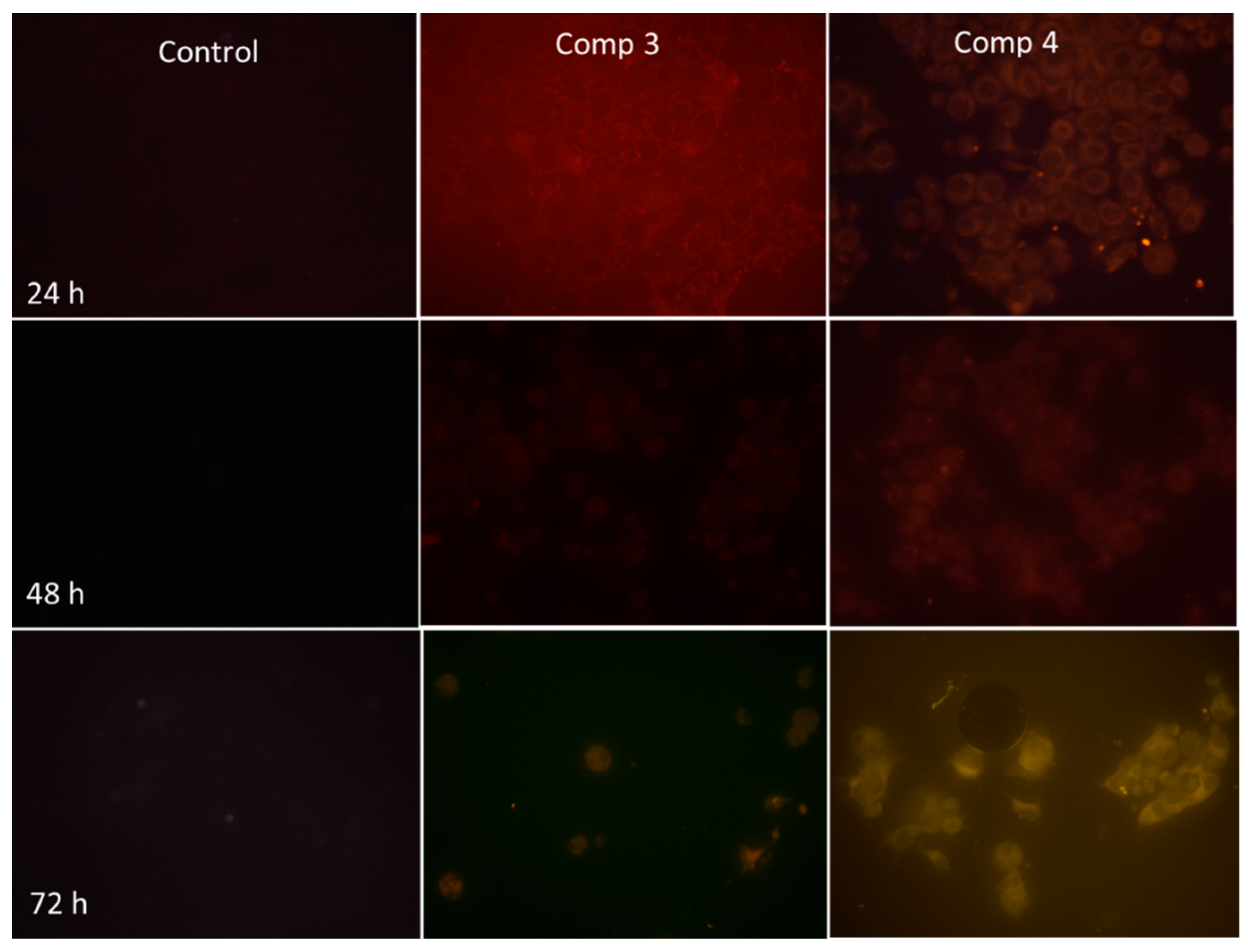 Molecules 27 06219 g013 Molecules 27 06219 g013