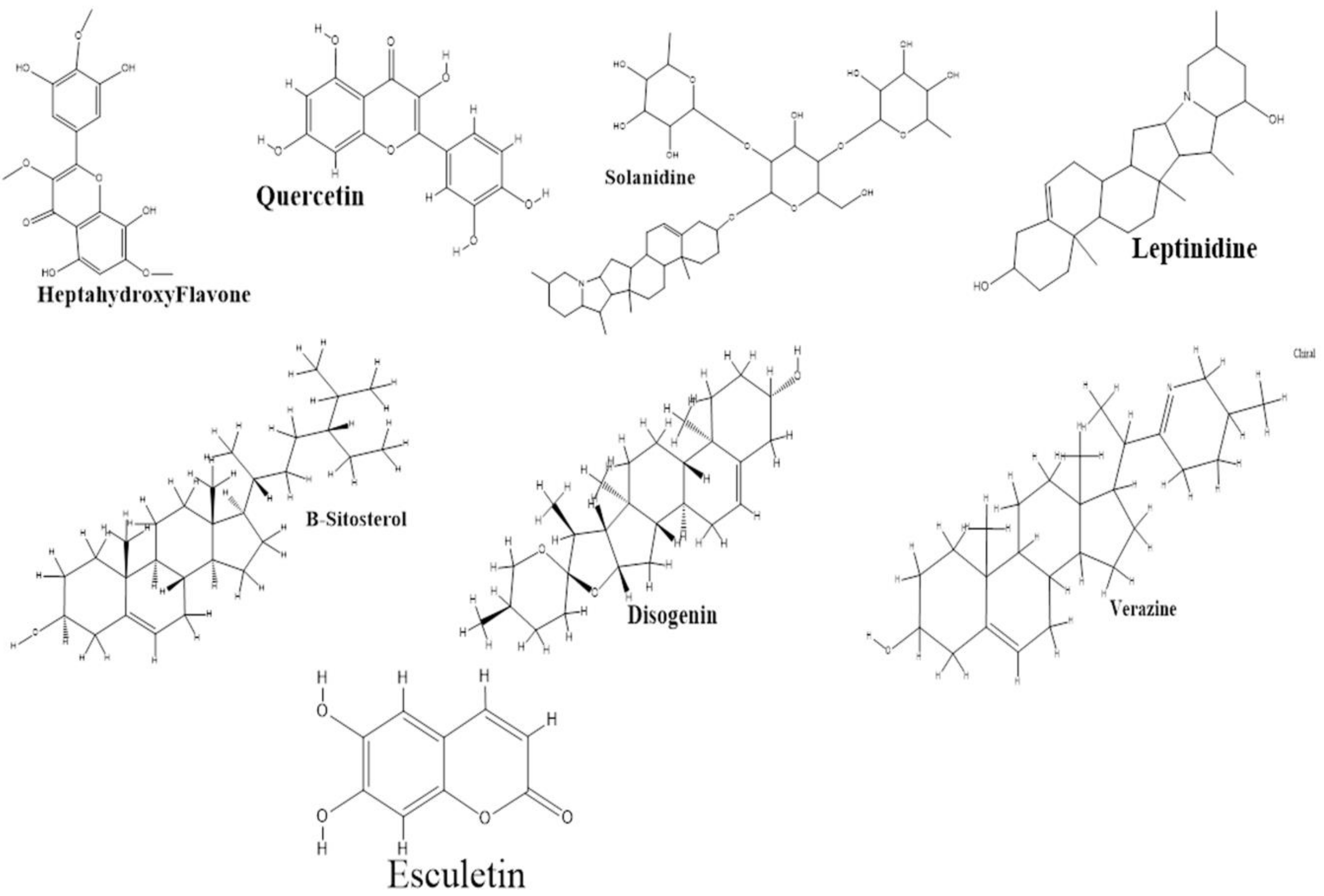 Molecules 27 06220 g005 Molecules 27 06220 g005