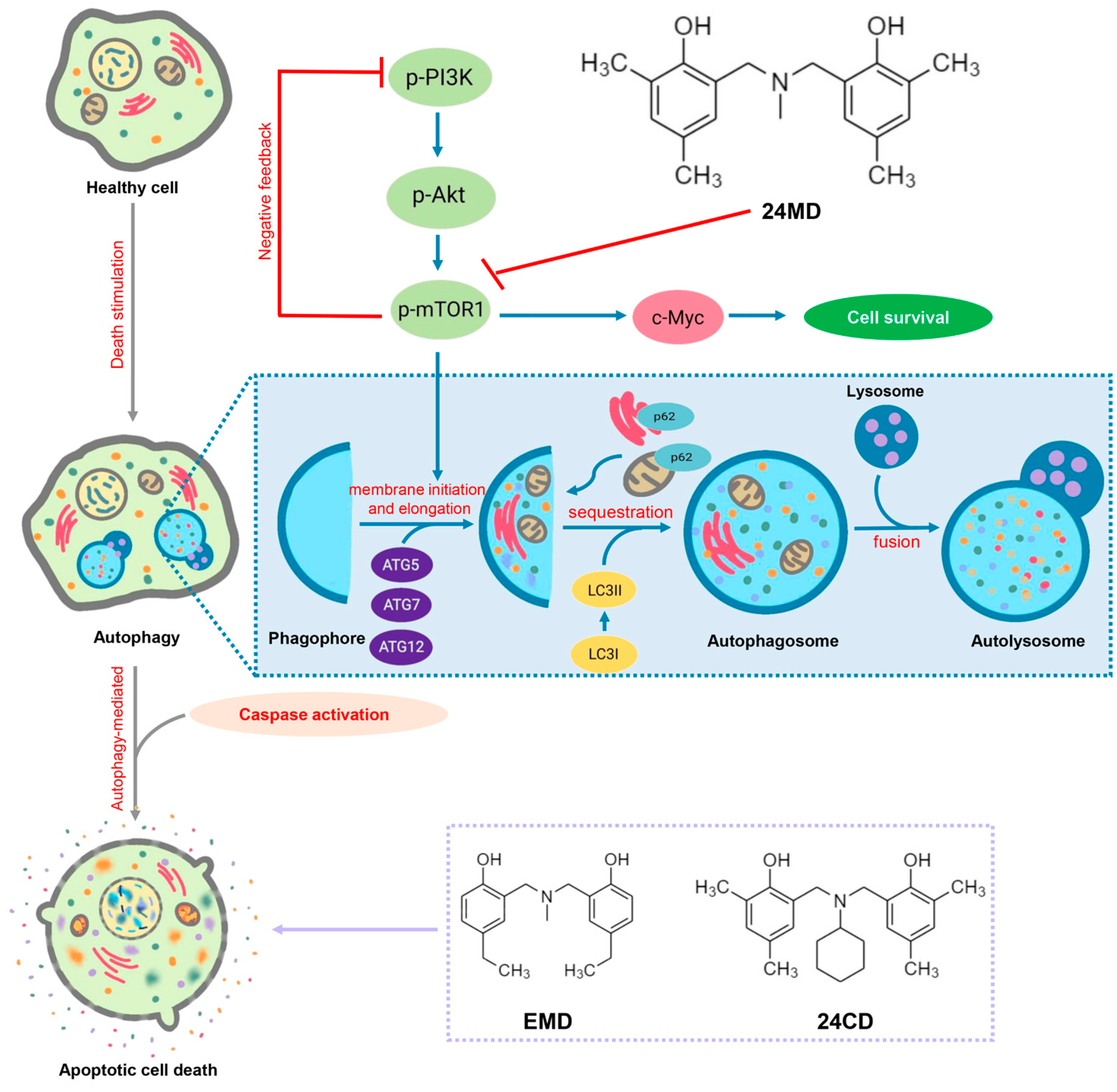 Molecules 27 06230 g006 Molecules 27 06230 g006