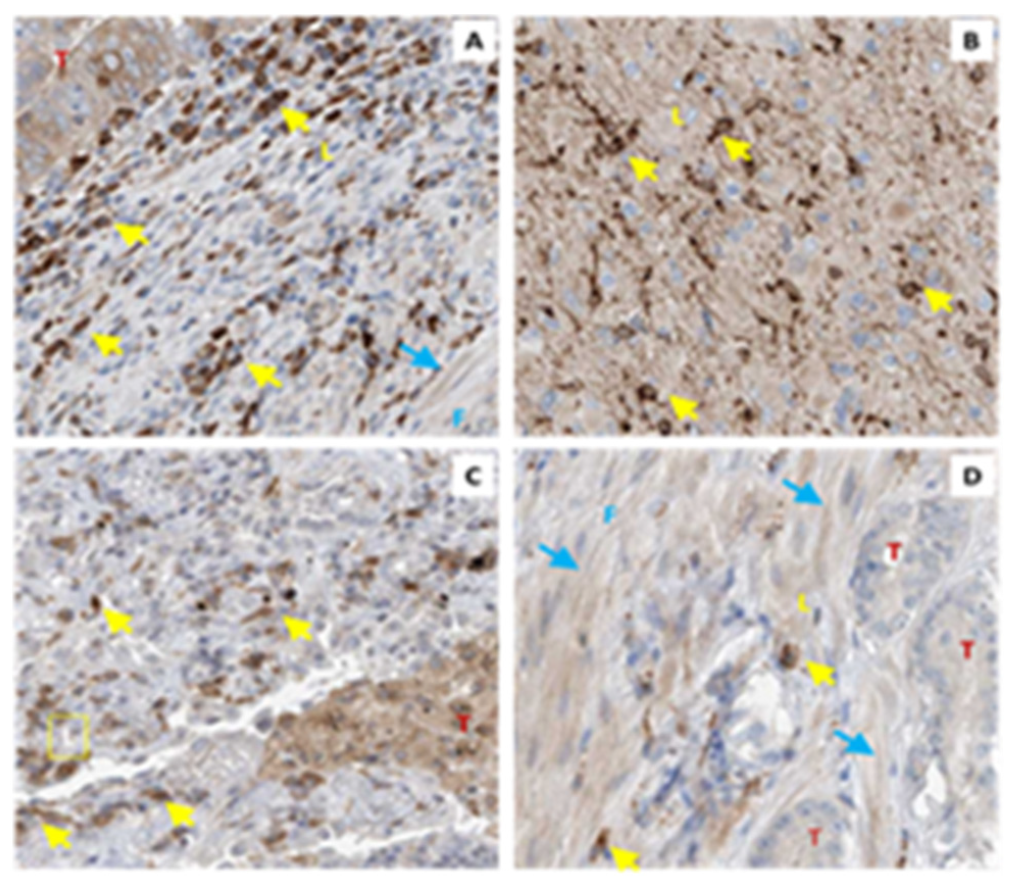 Molecules 27 06234 g006