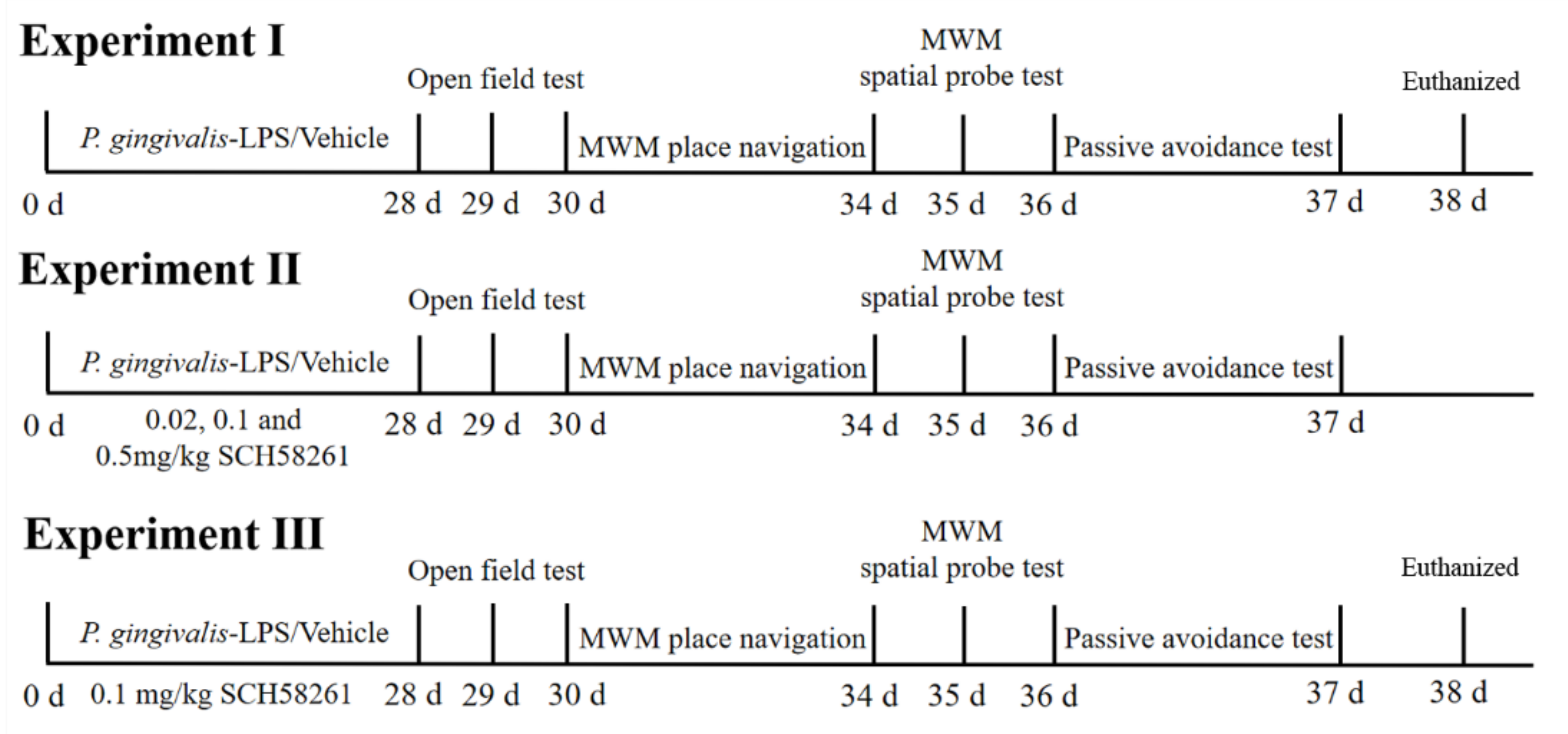 Adenosine A2A Receptor Antagonist Improves Cognitive Impairment by ...