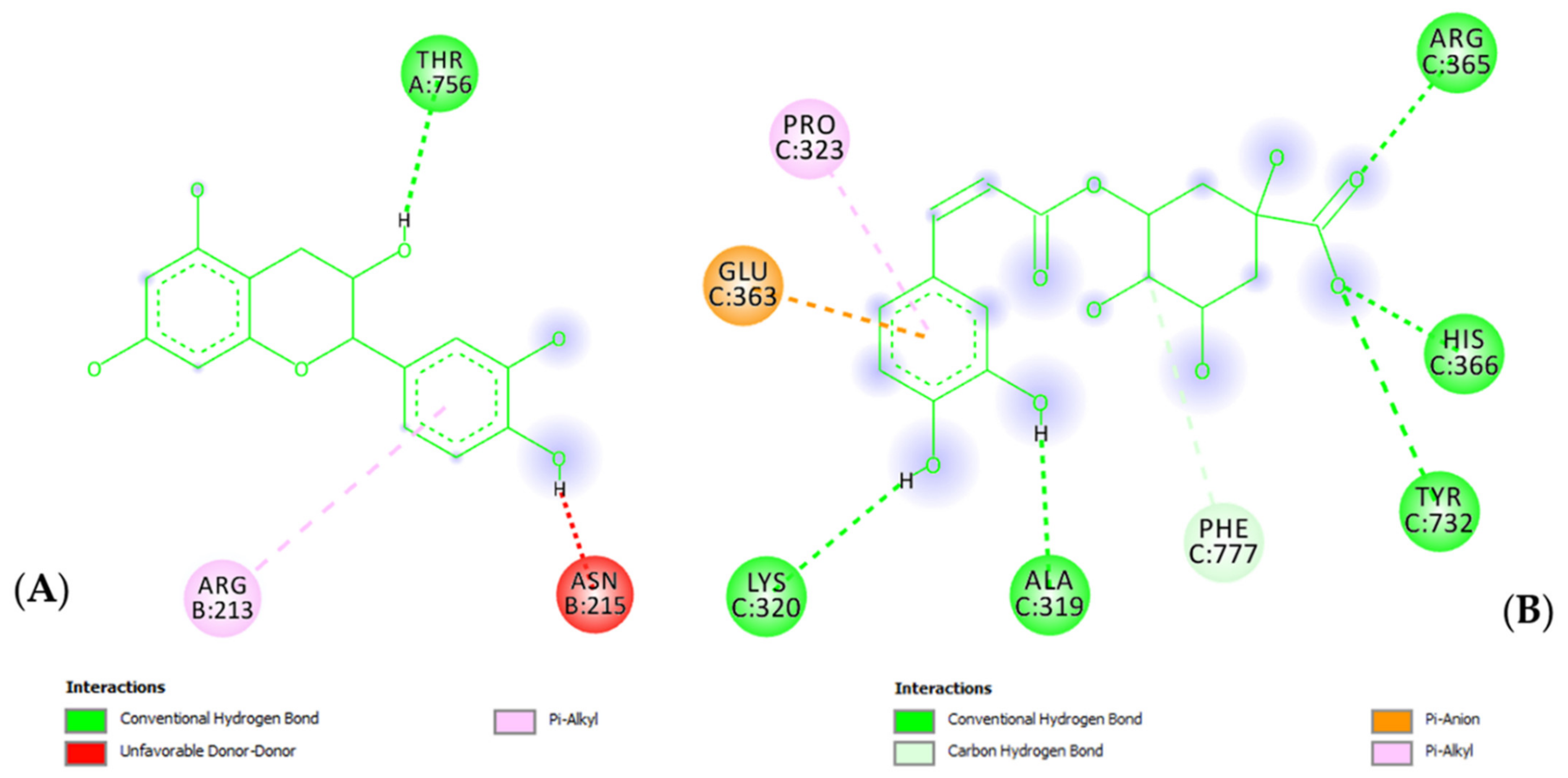 Molecules 27 06279 g008
