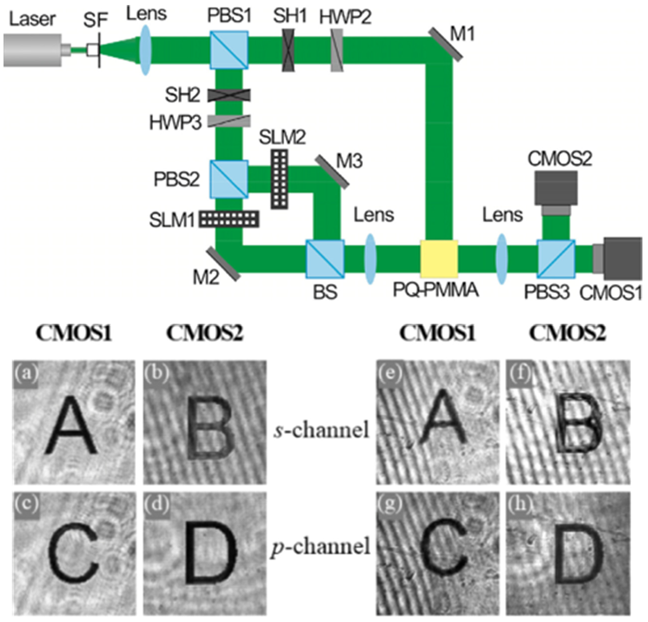Molecules 27 06283 g004