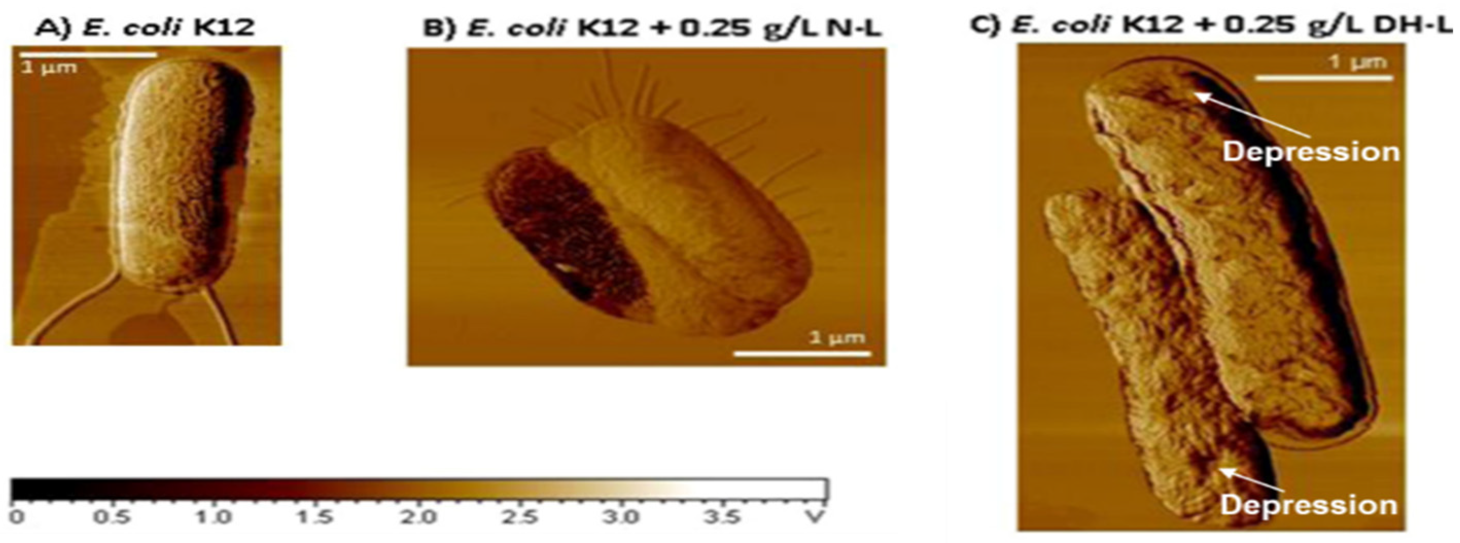 Molecules 27 06305 g002 Molecules 27 06305 g002