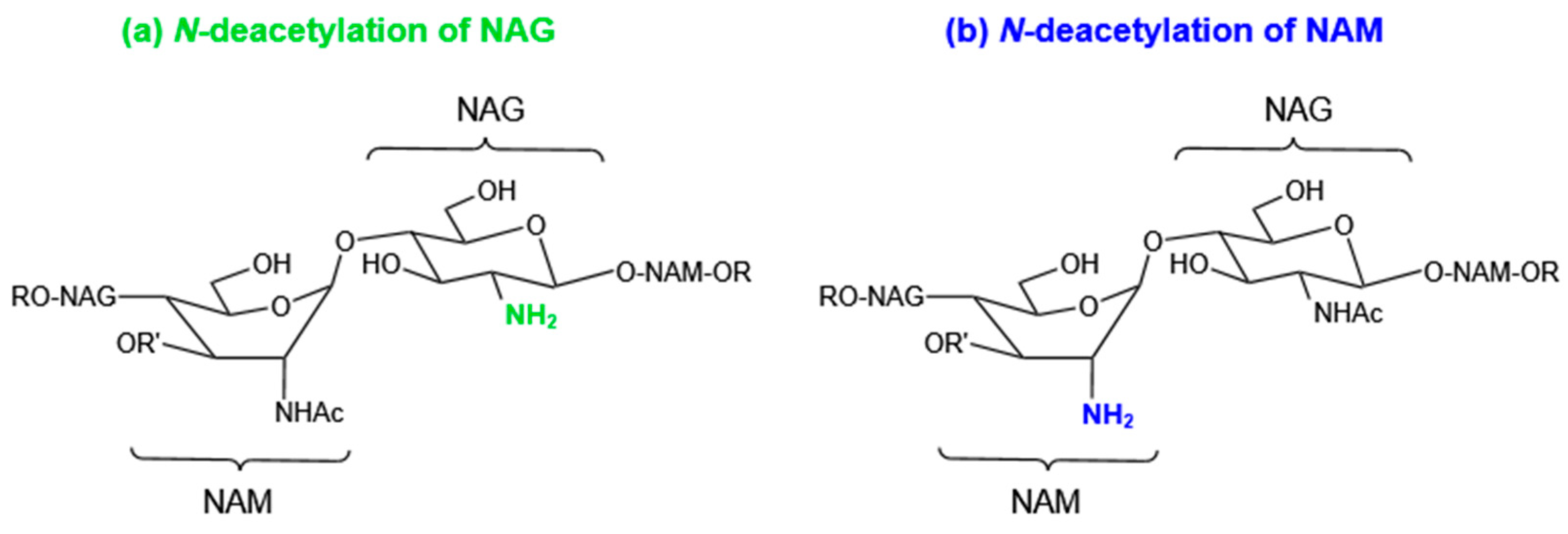 Molecules 27 06305 g004 Molecules 27 06305 g004
