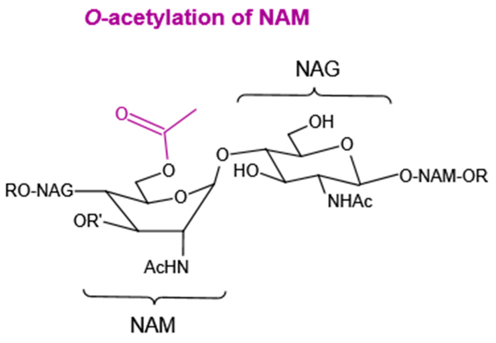Molecules 27 06305 g005 Molecules 27 06305 g005