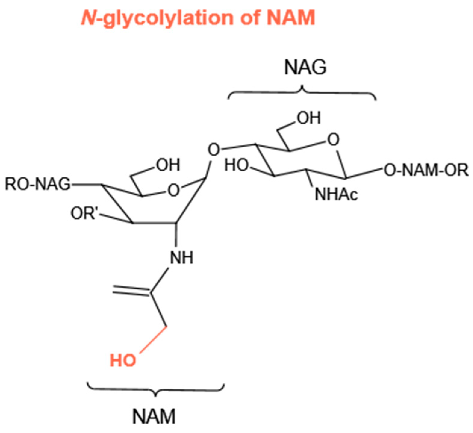 Molecules 27 06305 g006 Molecules 27 06305 g006
