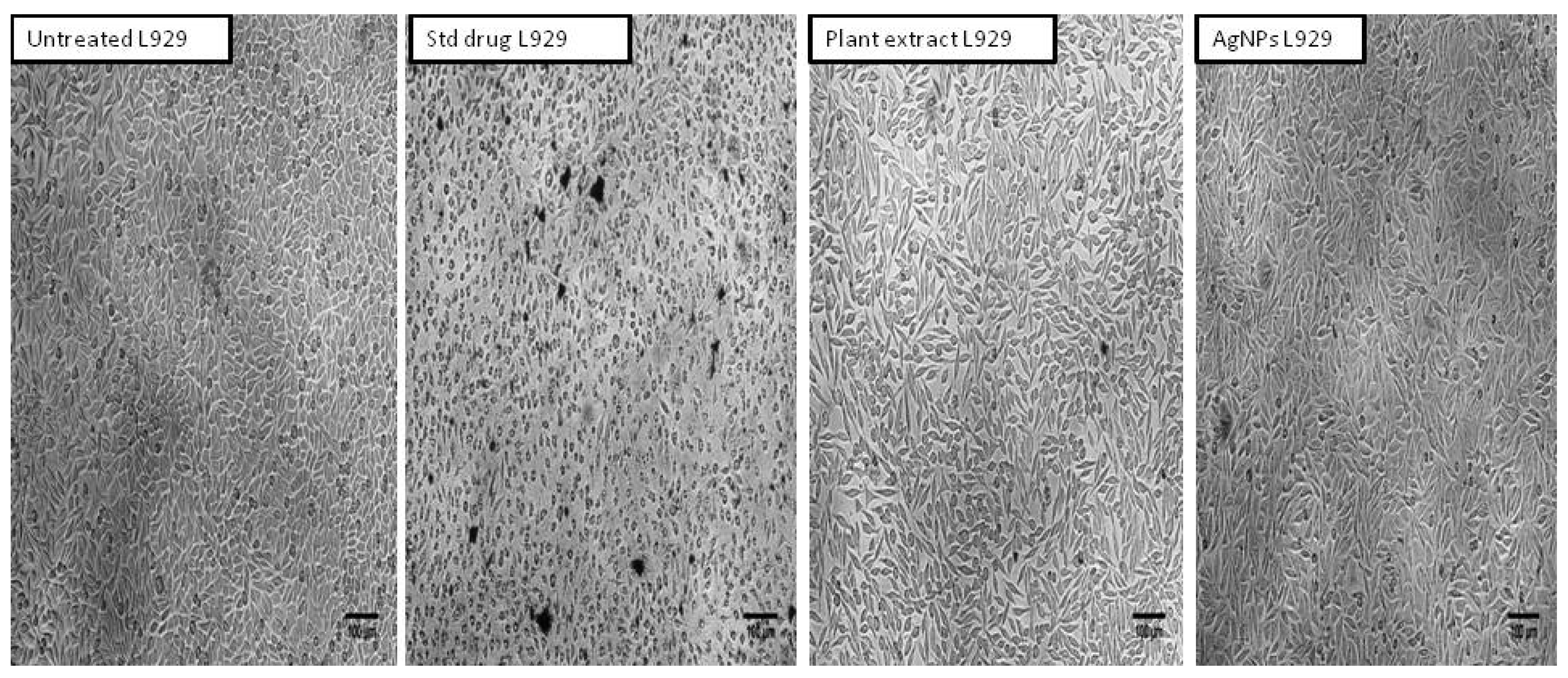 Molecules 27 06306 g010 Molecules 27 06306 g010