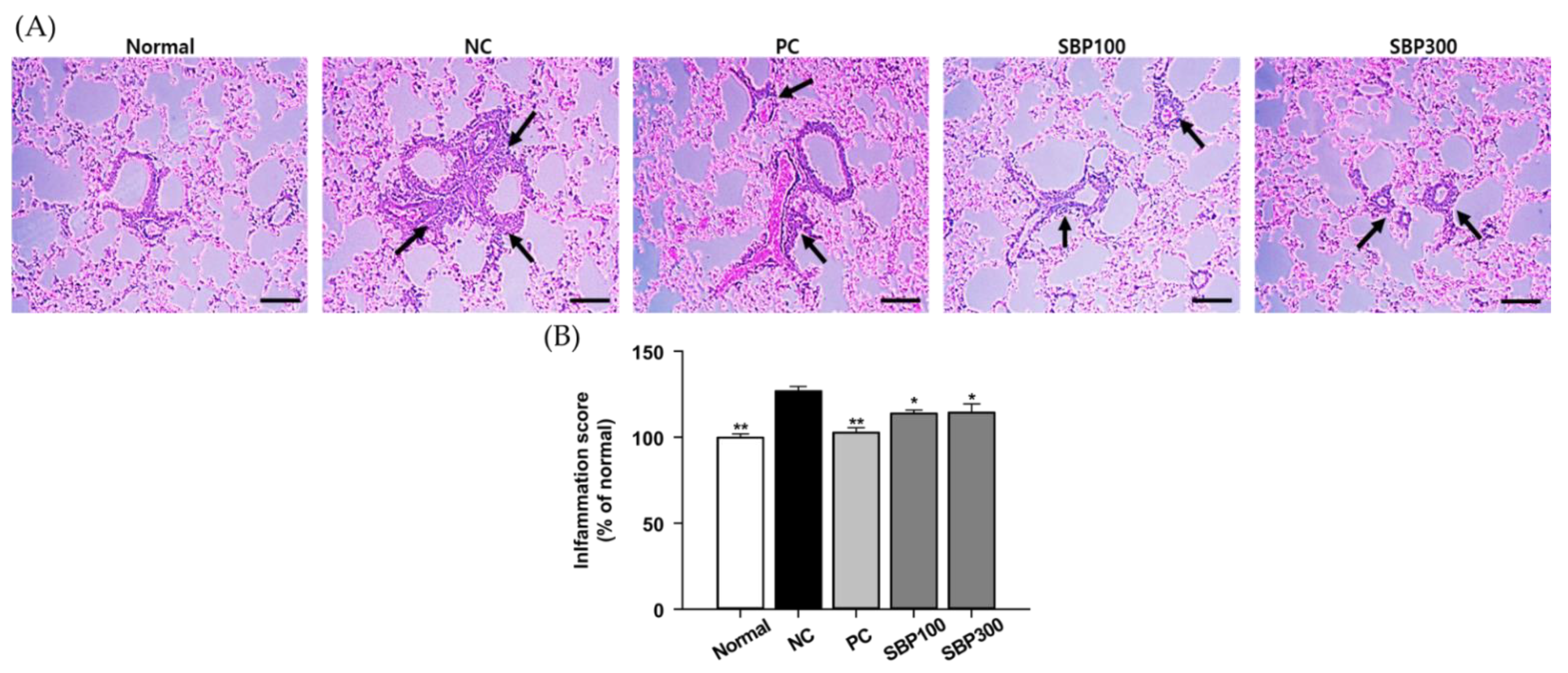 Molecules 27 06317 g002