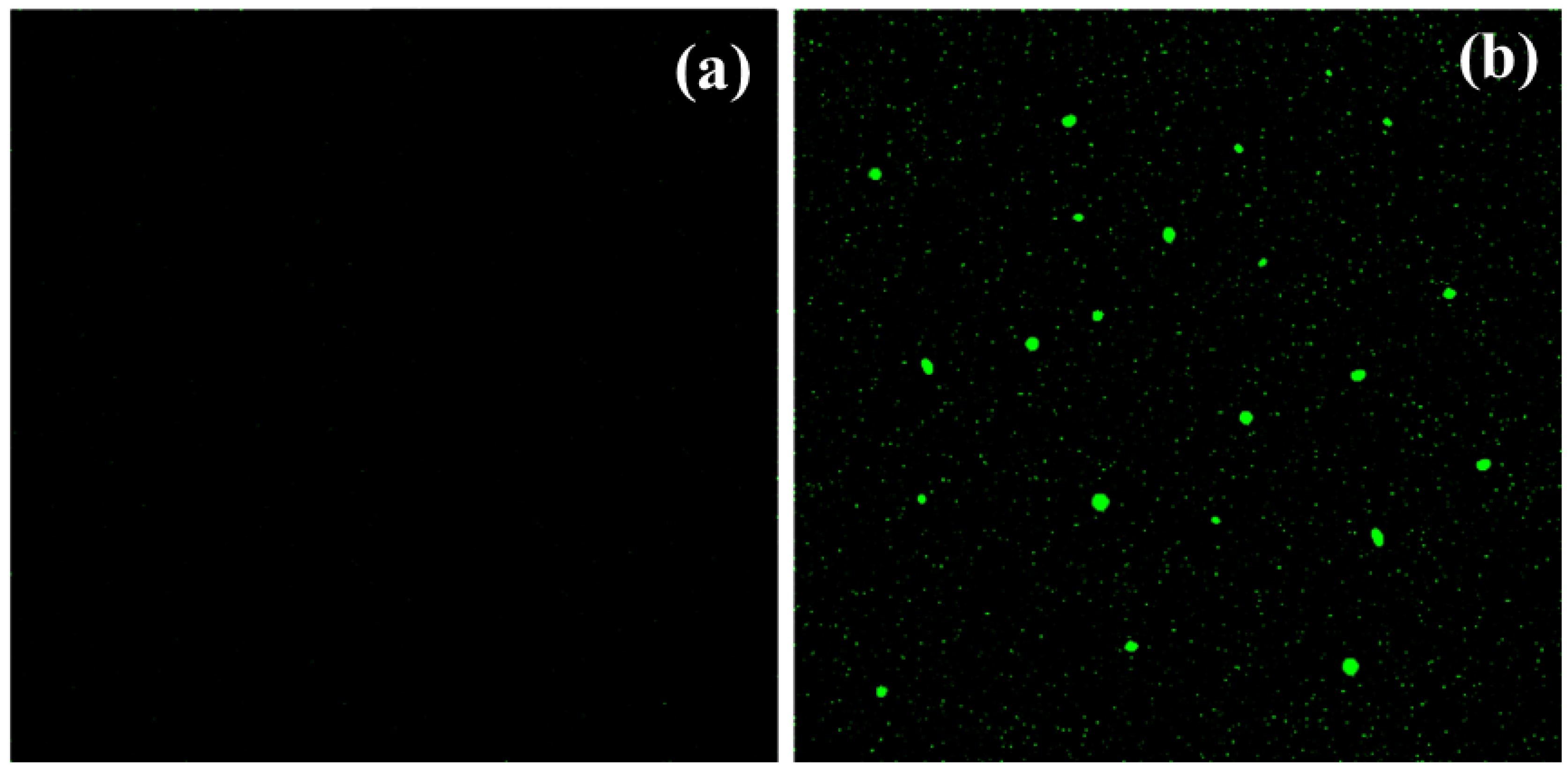 Molecules 27 06322 g008
