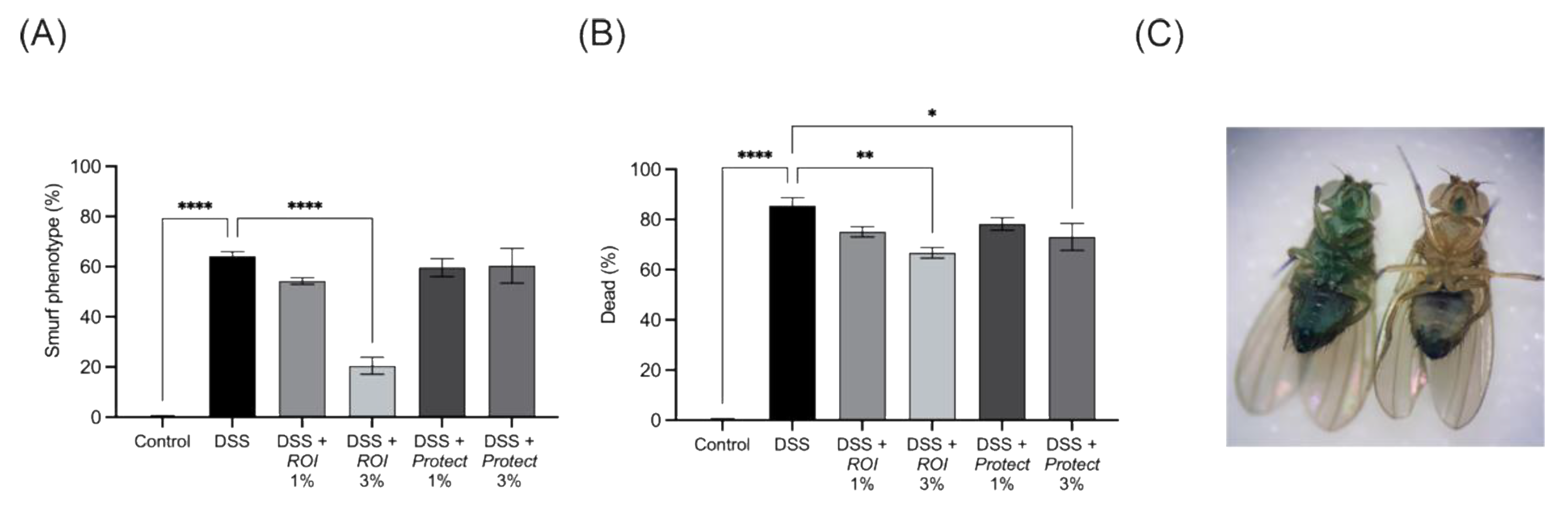 Molecules 27 06327 g008