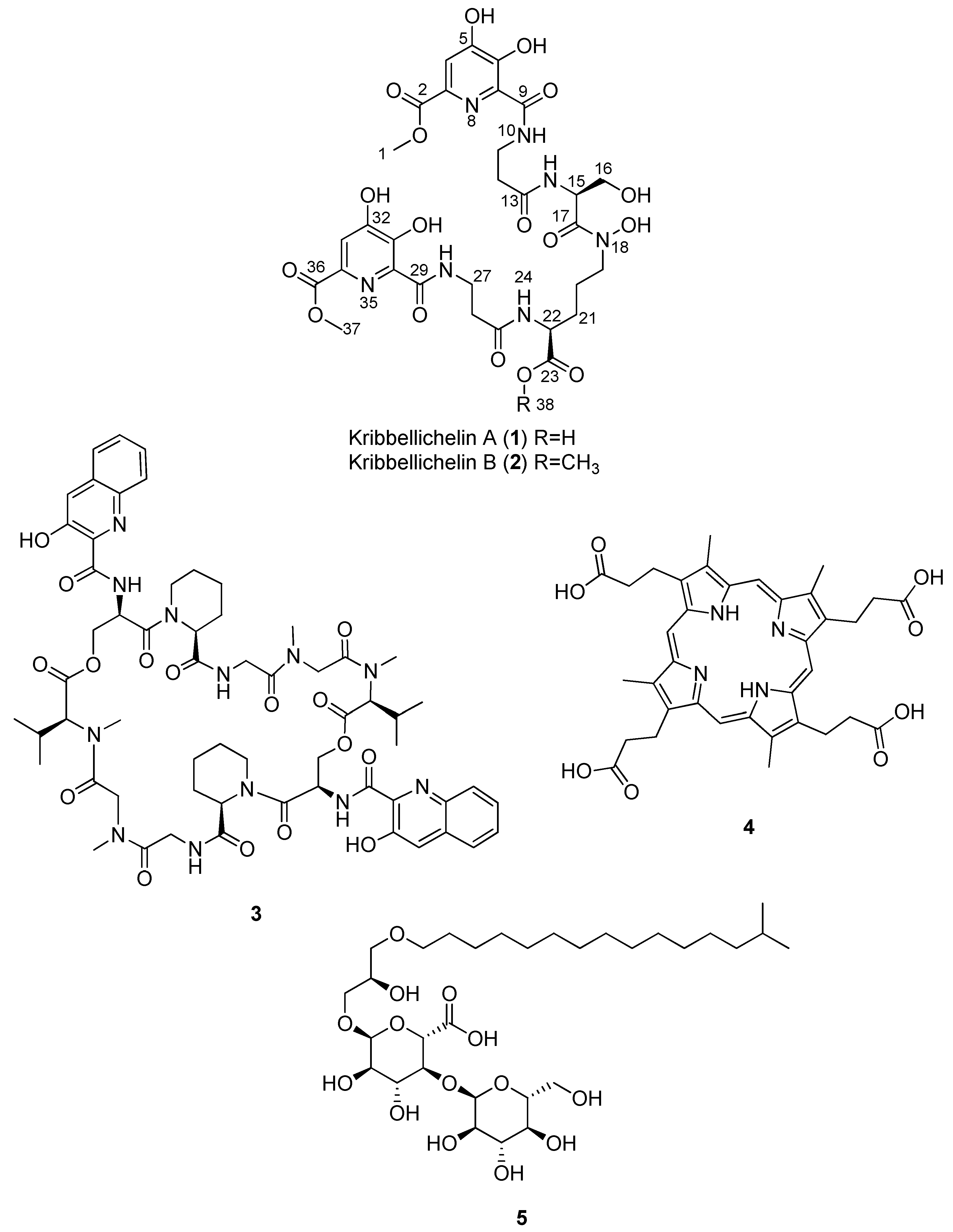 Molecules 27 06355 g002 Molecules 27 06355 g002