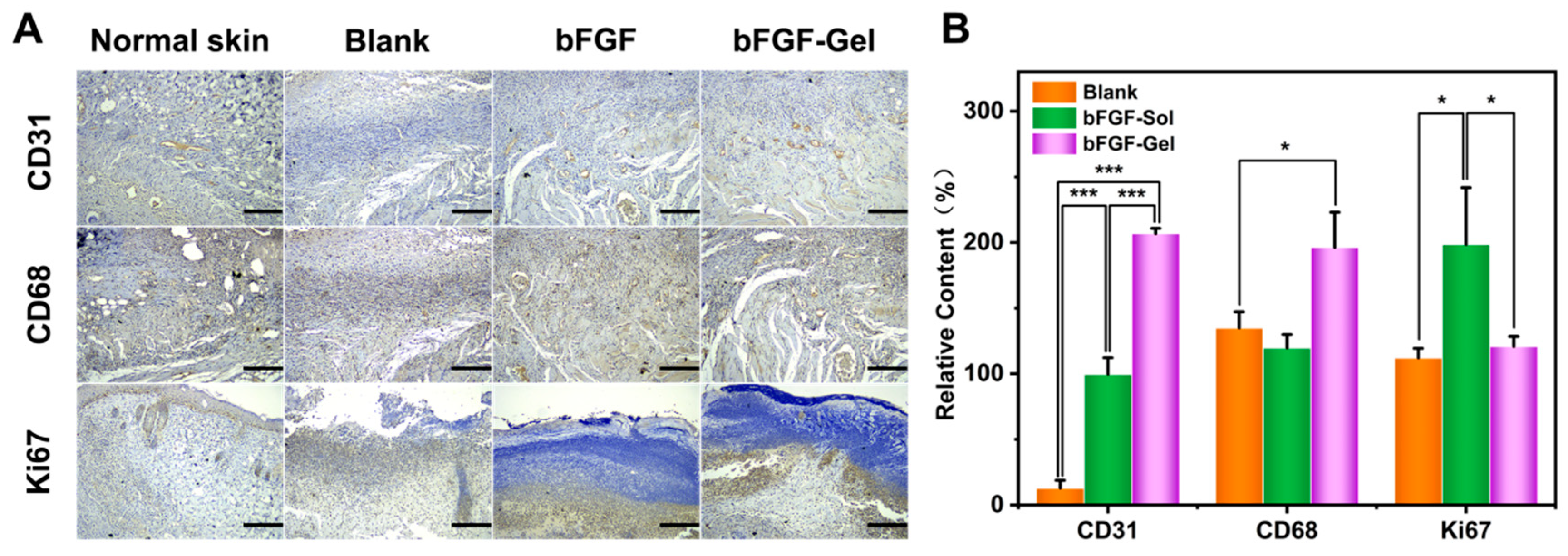 Molecules | Free Full-Text | Hydrogel Dressing Containing Basic Fibroblast  Growth Factor Accelerating Chronic Wound Healing in Aged Mouse Model