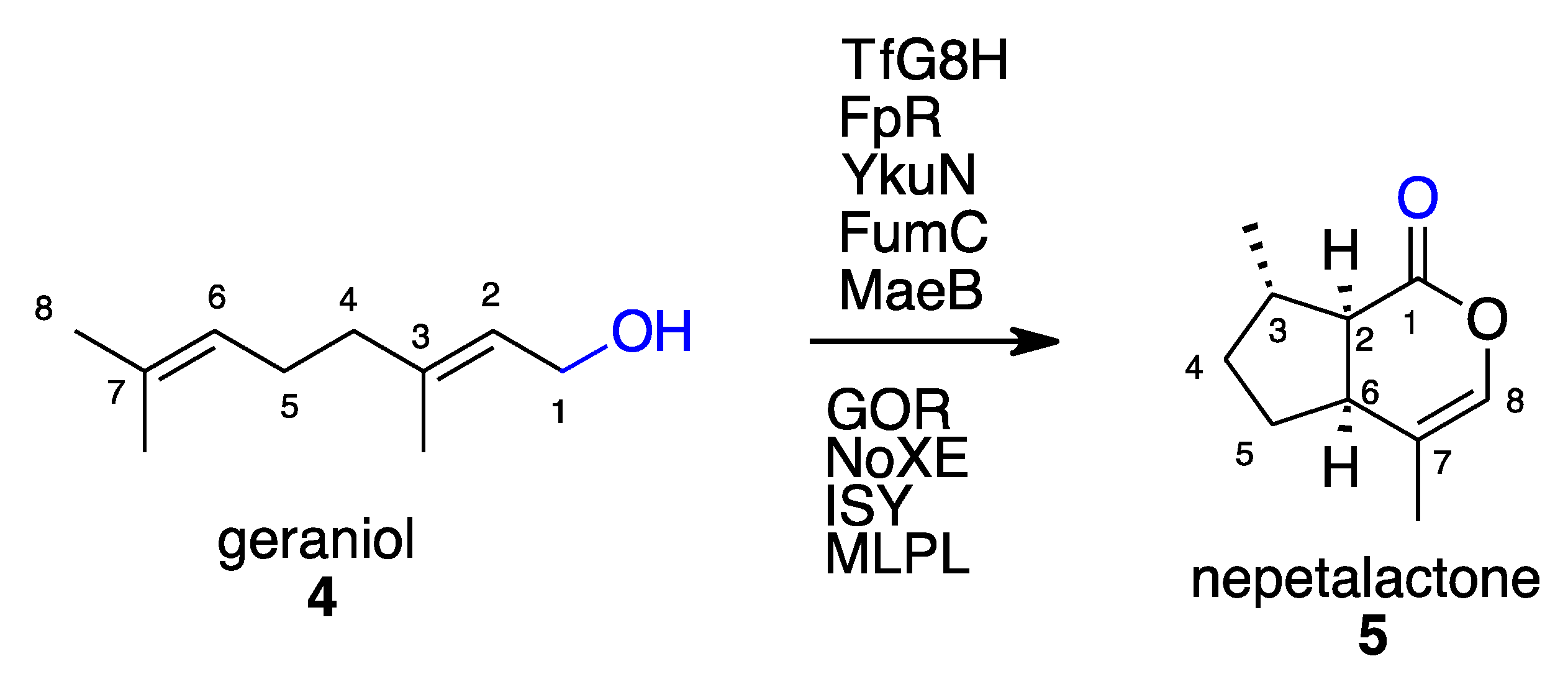 Molecules 27 06373 sch002