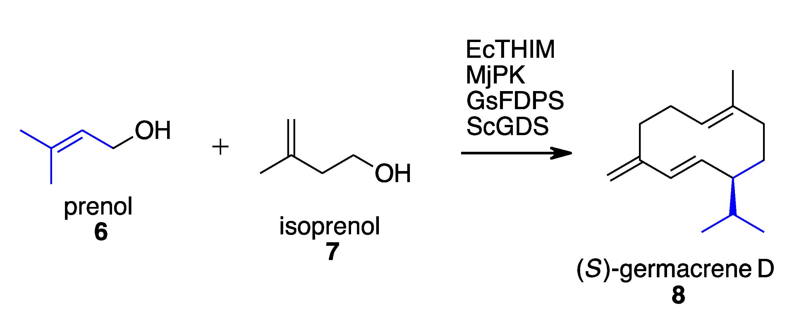 Molecules 27 06373 sch003