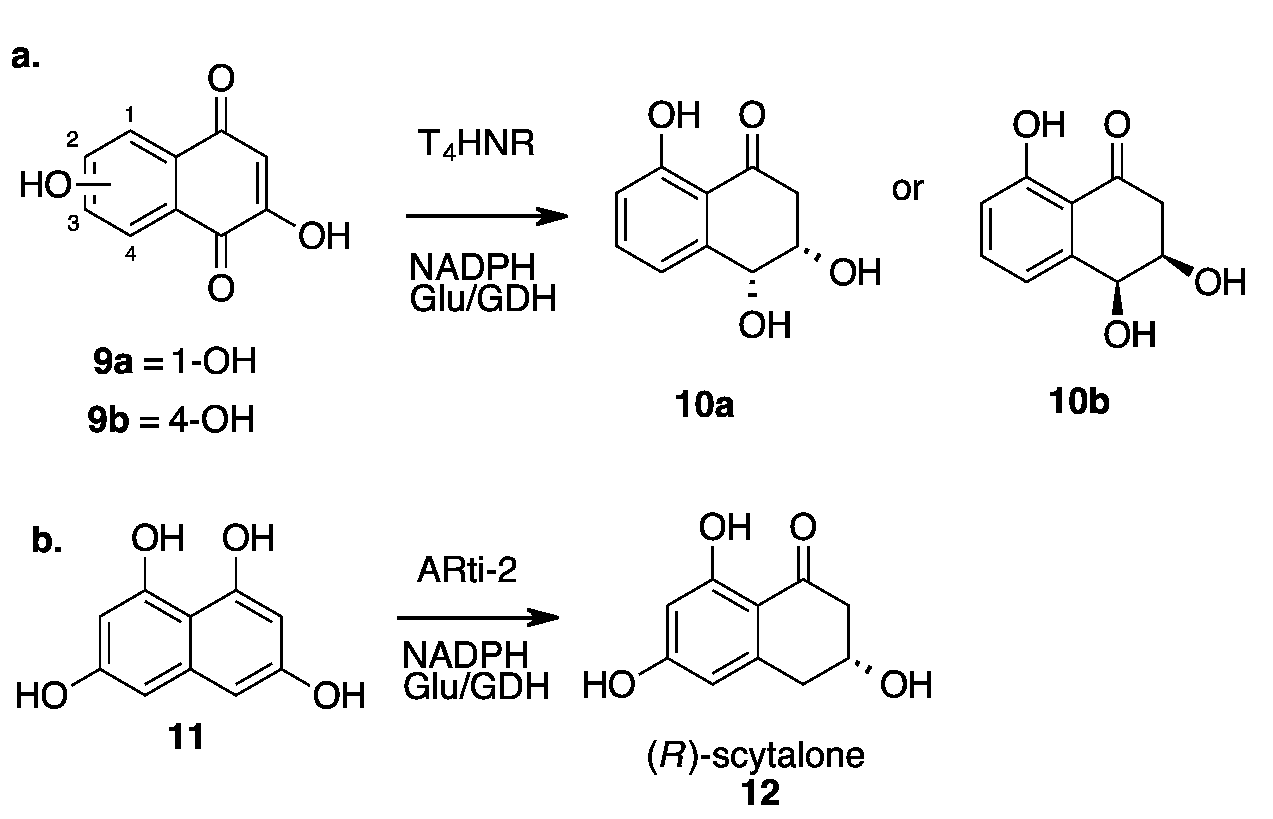 Molecules 27 06373 sch004