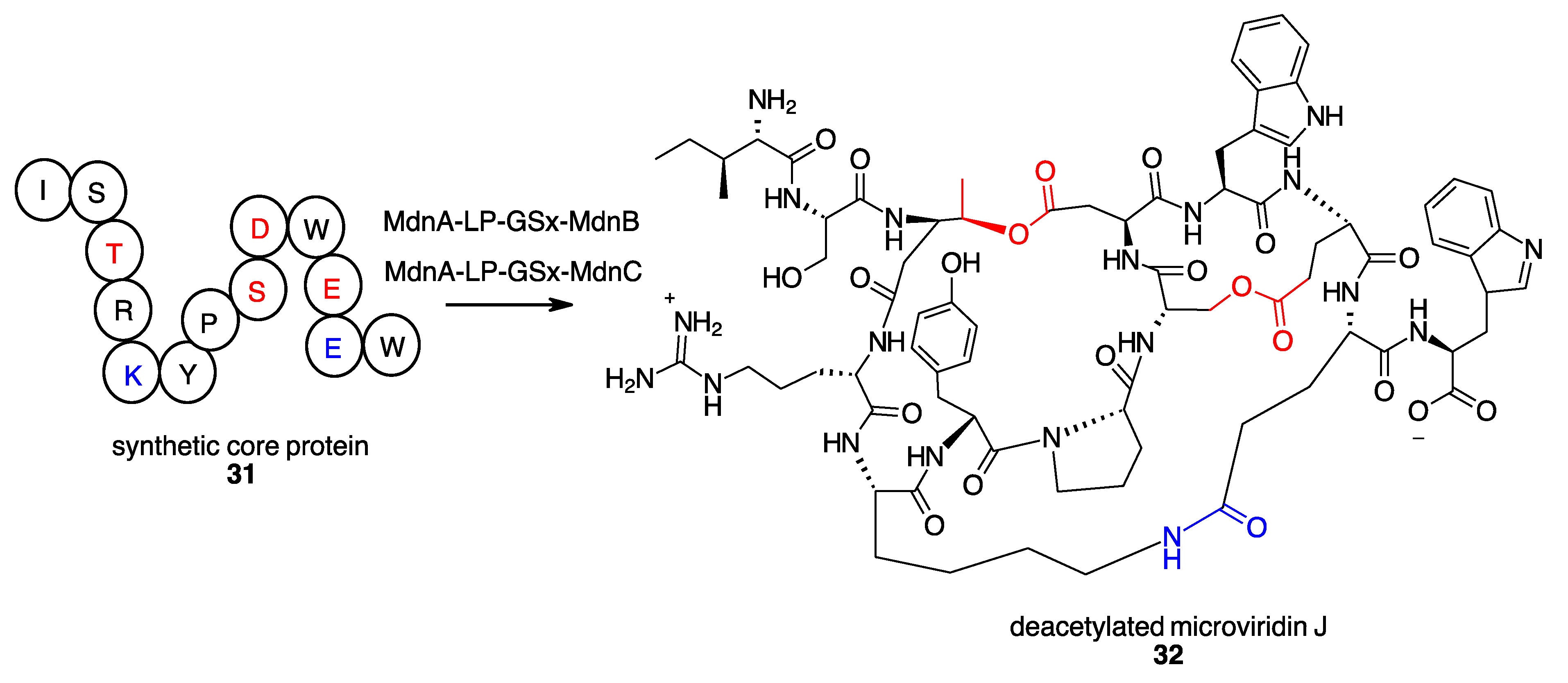 Molecules 27 06373 sch011