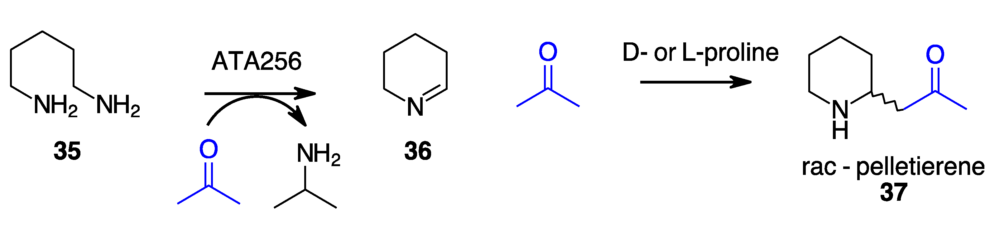 Molecules 27 06373 sch012