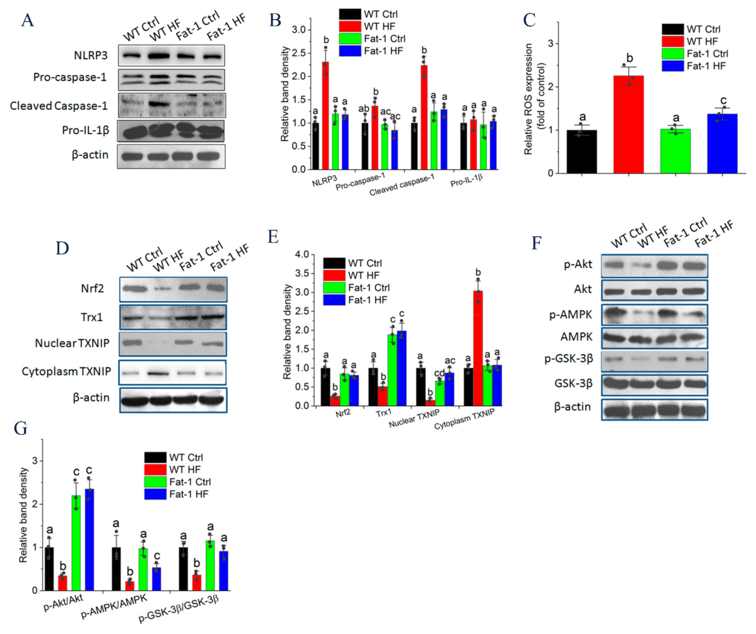 Molecules 27 06384 g005 Molecules 27 06384 g005