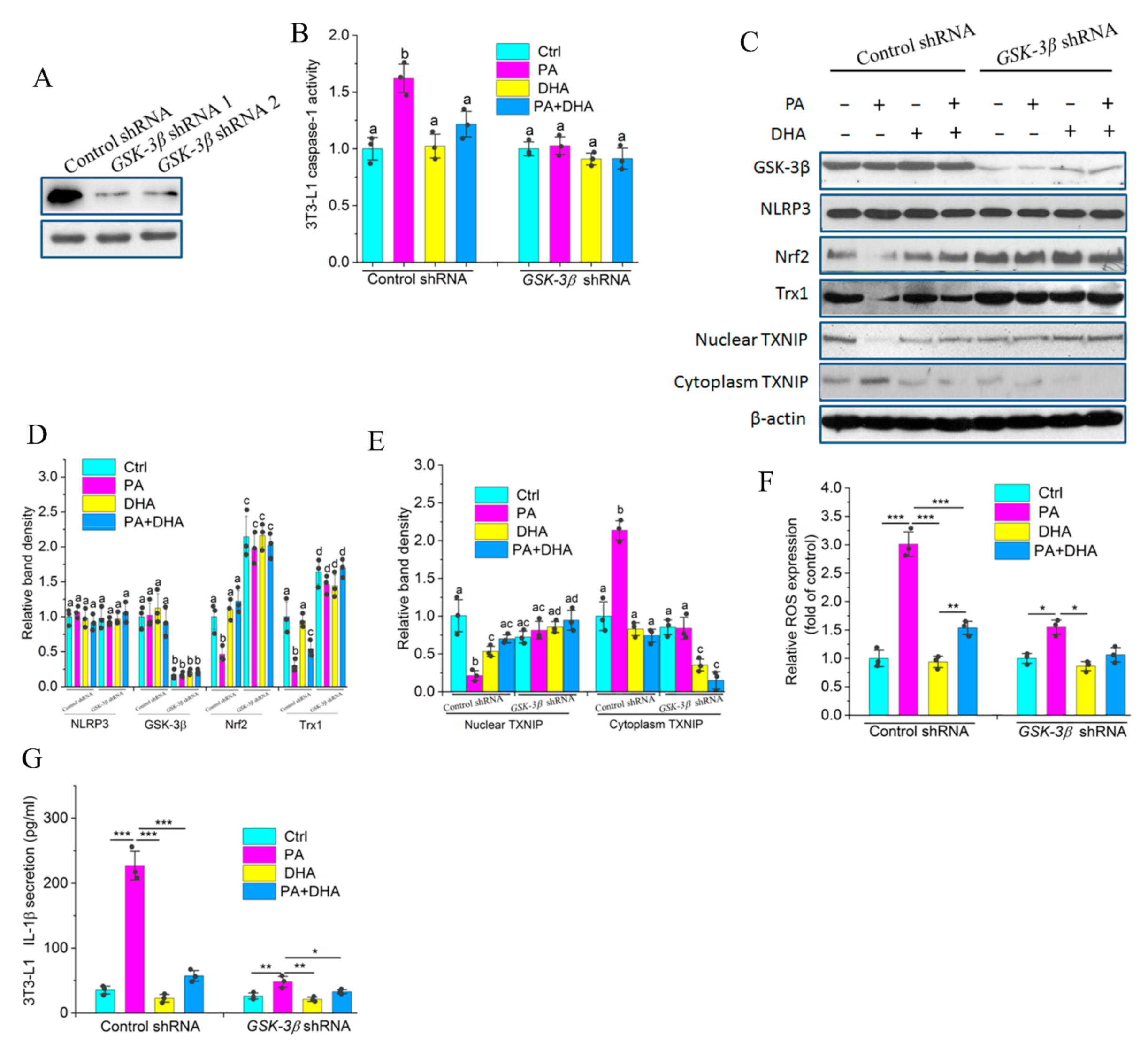 Molecules 27 06384 g007 Molecules 27 06384 g007