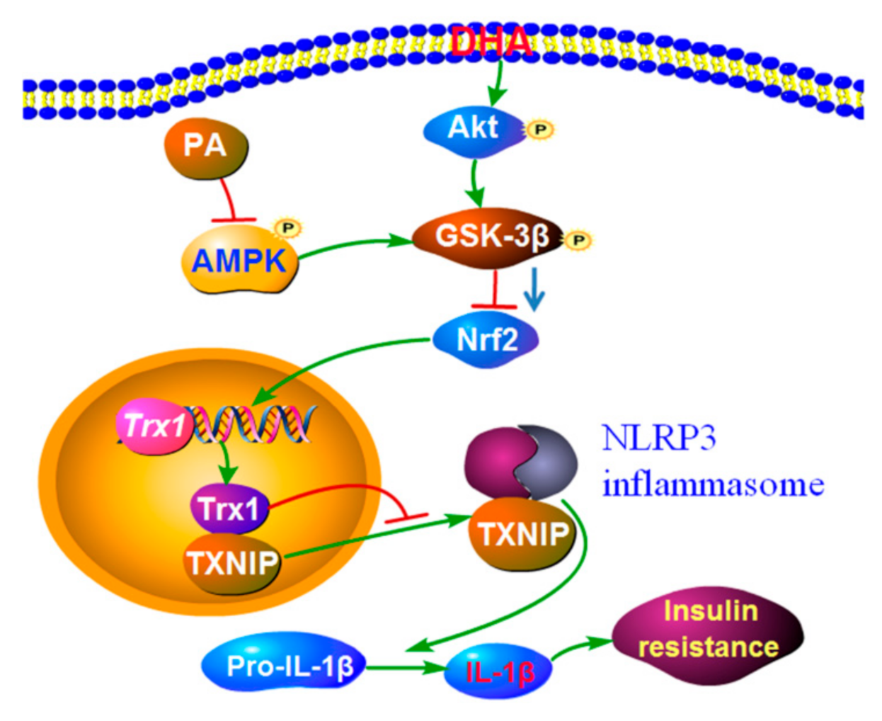 Molecules 27 06384 g008 Molecules 27 06384 g008