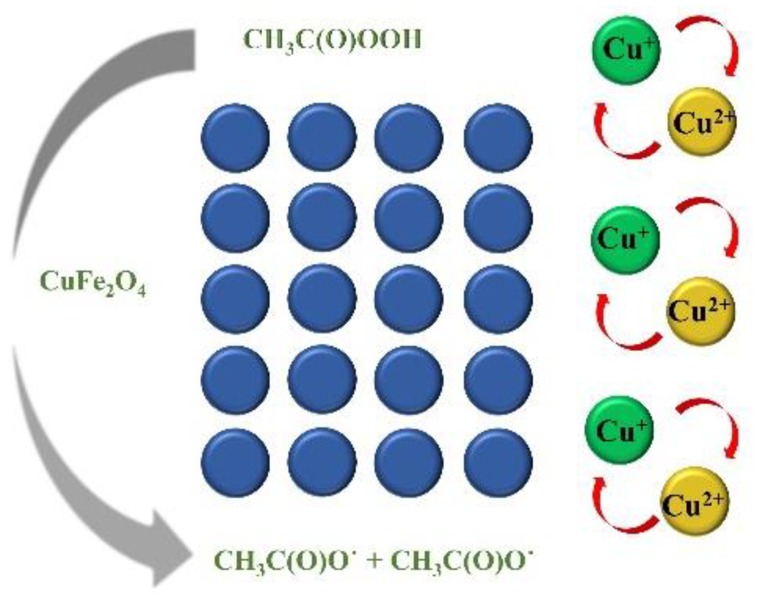 Molecules 27 06385 g006