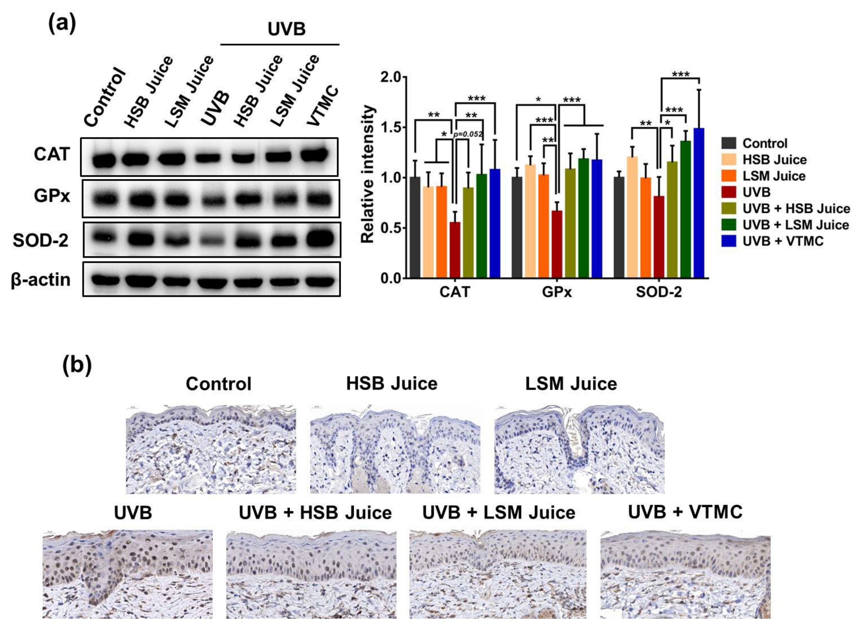 Molecules 27 06394 g004