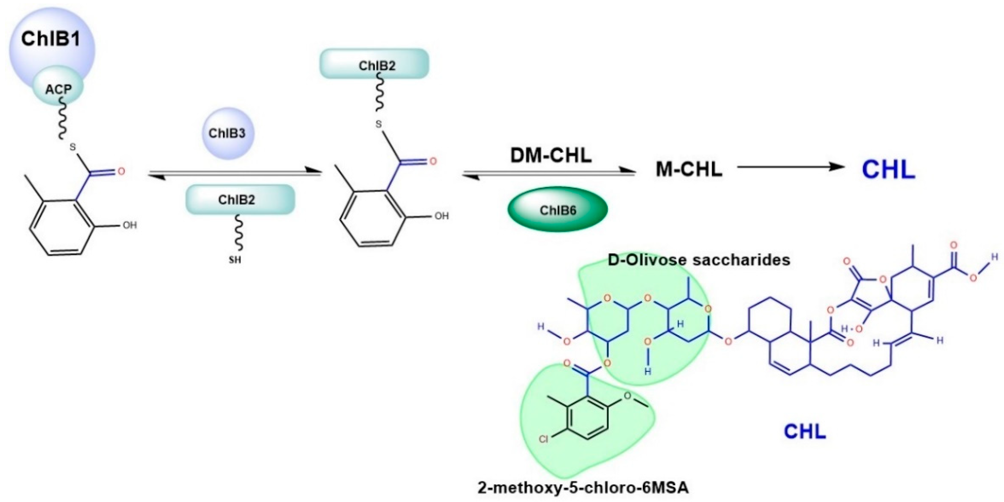 Molecules 27 06405 g001 Molecules 27 06405 g001