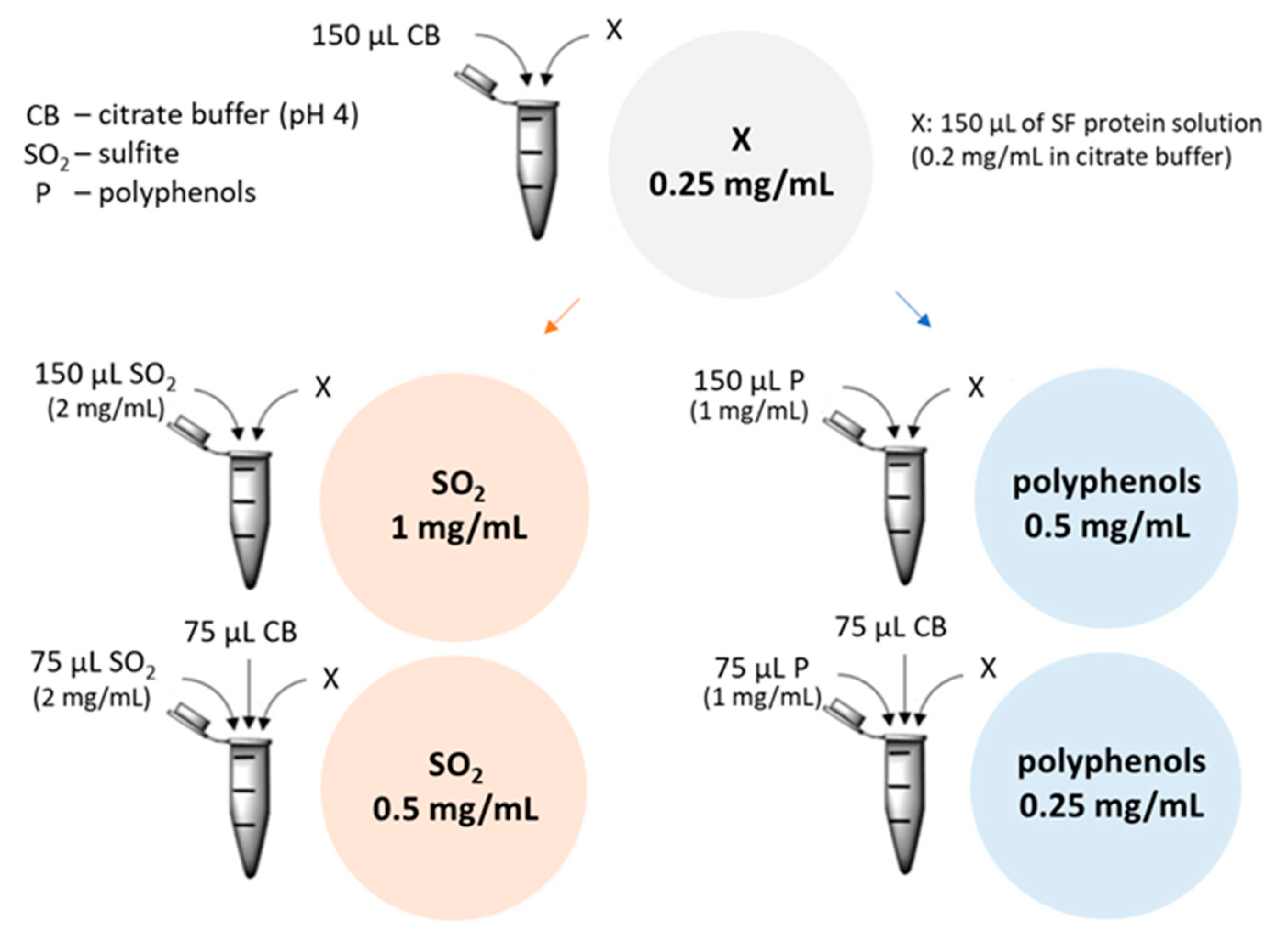 Molecules 27 06409 g004