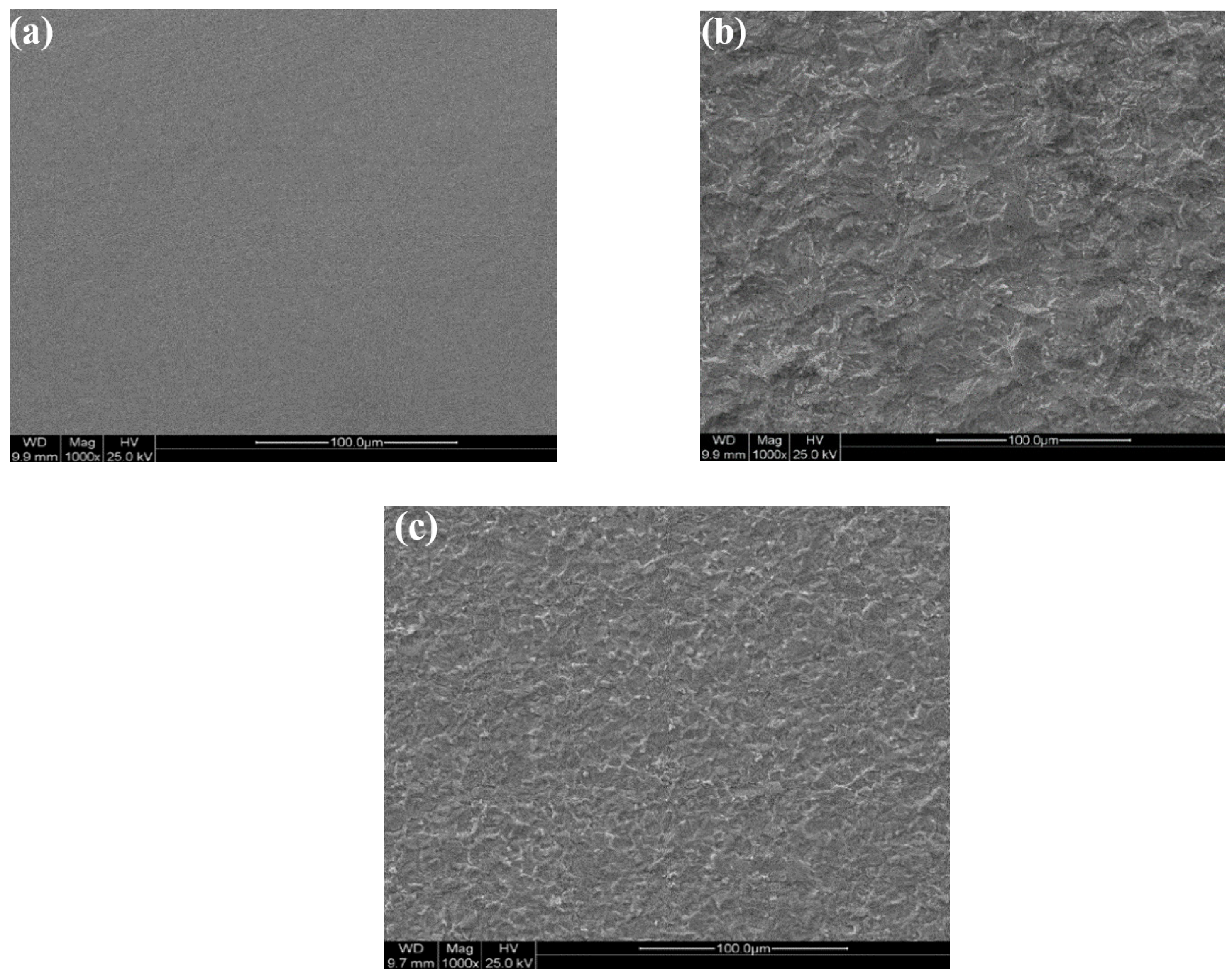 Molecules 27 06414 g010