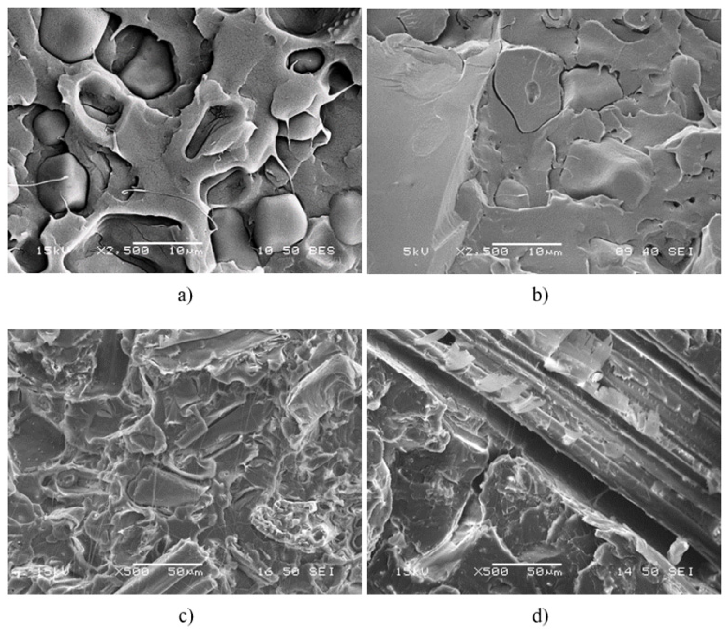 Molecules | Free Full-Text | Preparation Of Biocomposites With Natural ...