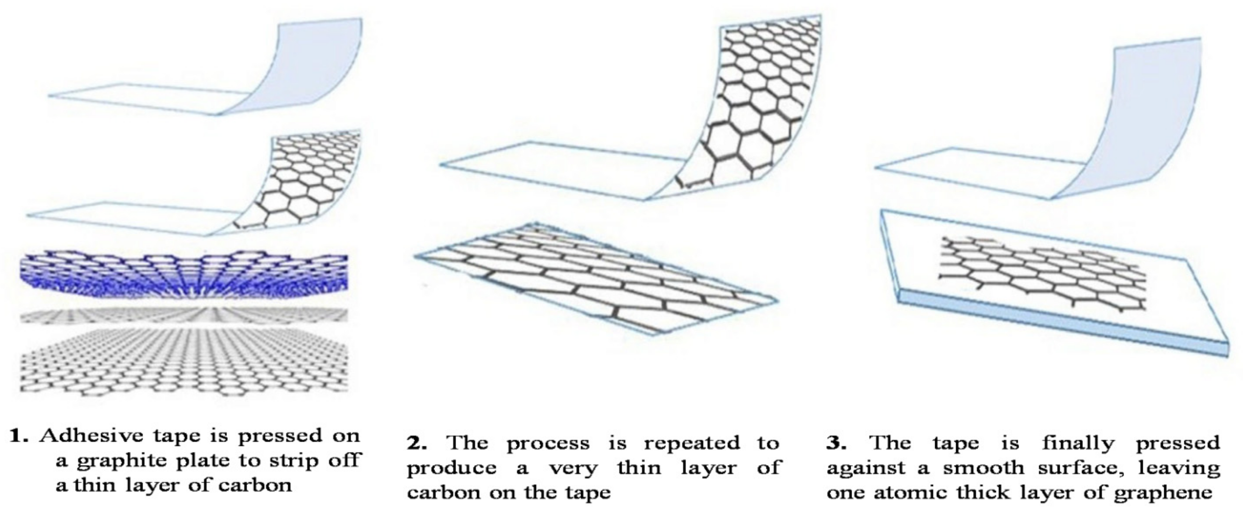 Molecules 27 06433 g004