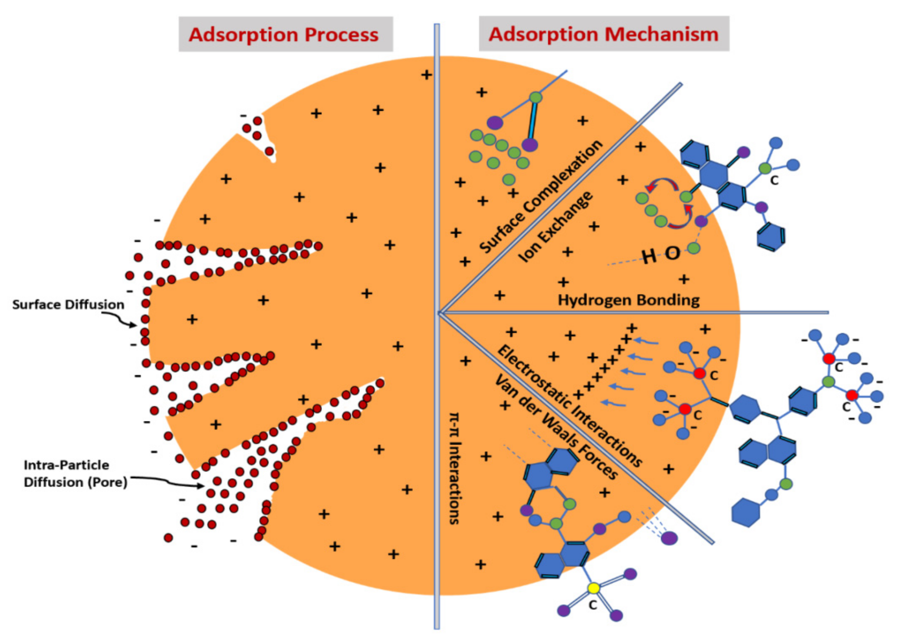 Molecules 27 06433 g014