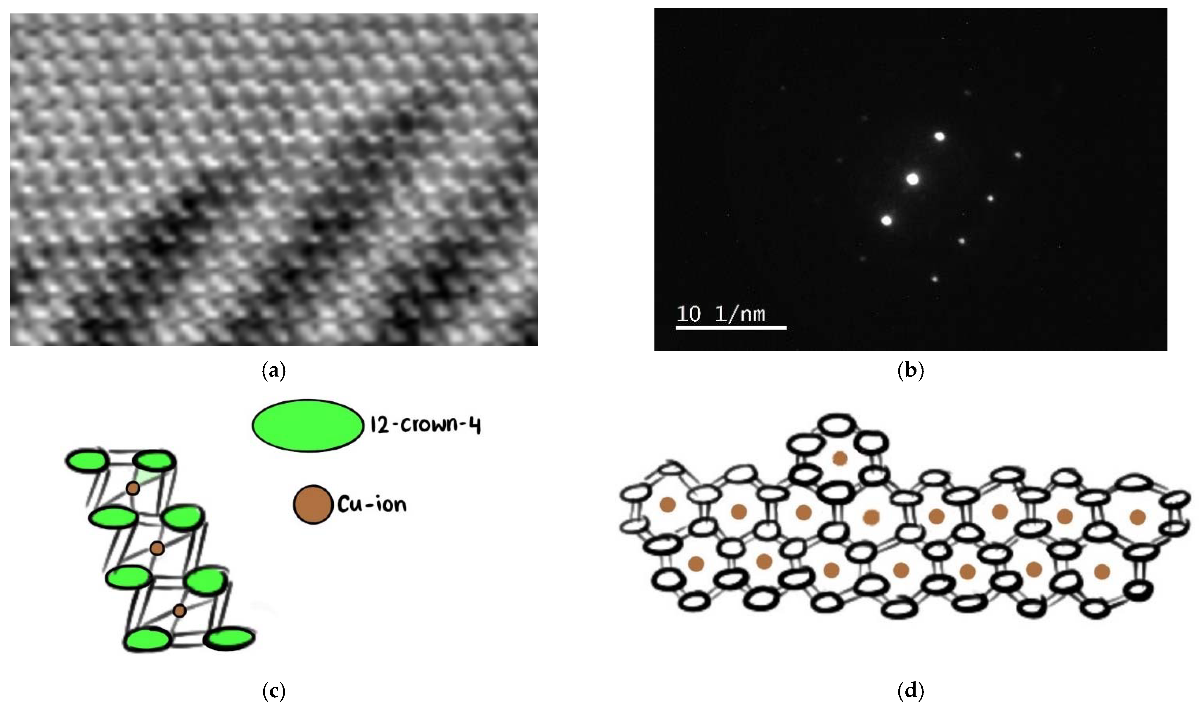 Molecules 27 06437 g008