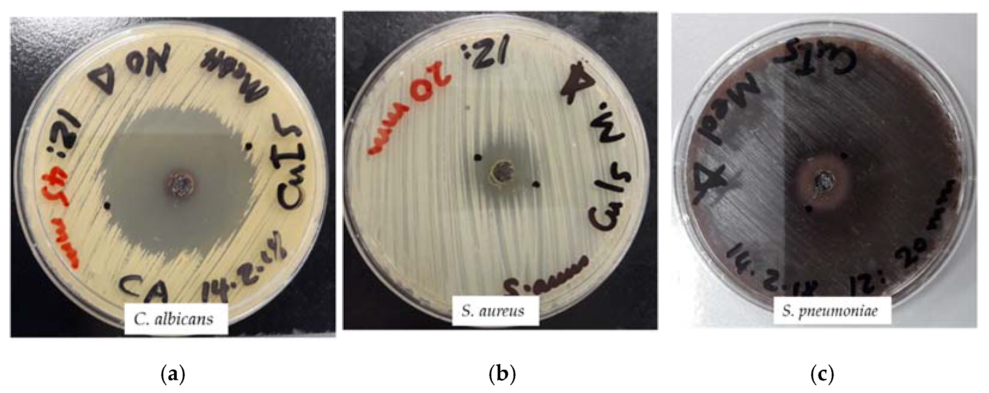 Molecules 27 06437 g010