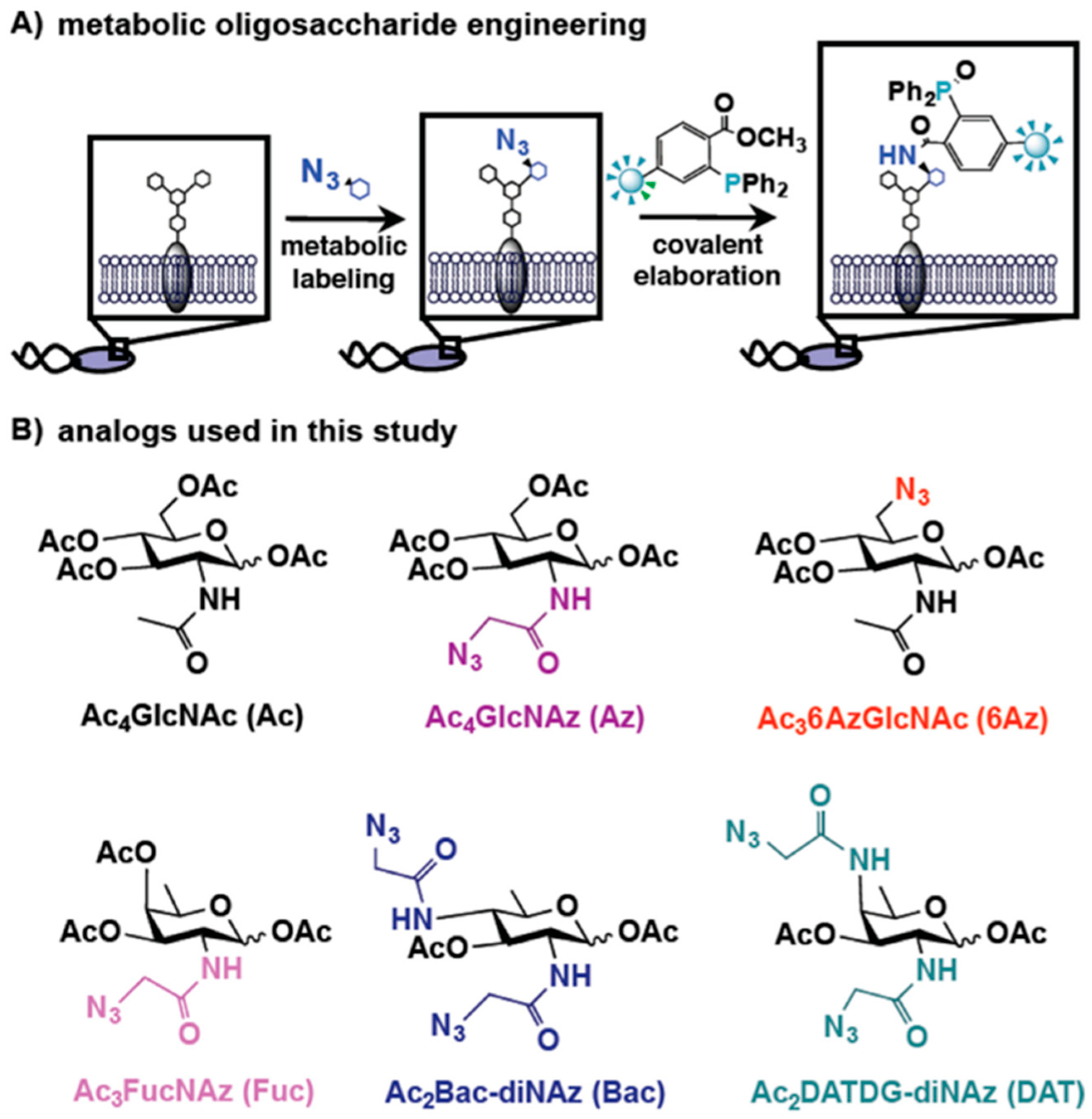 Molecules 27 06440 g005 Molecules 27 06440 g005