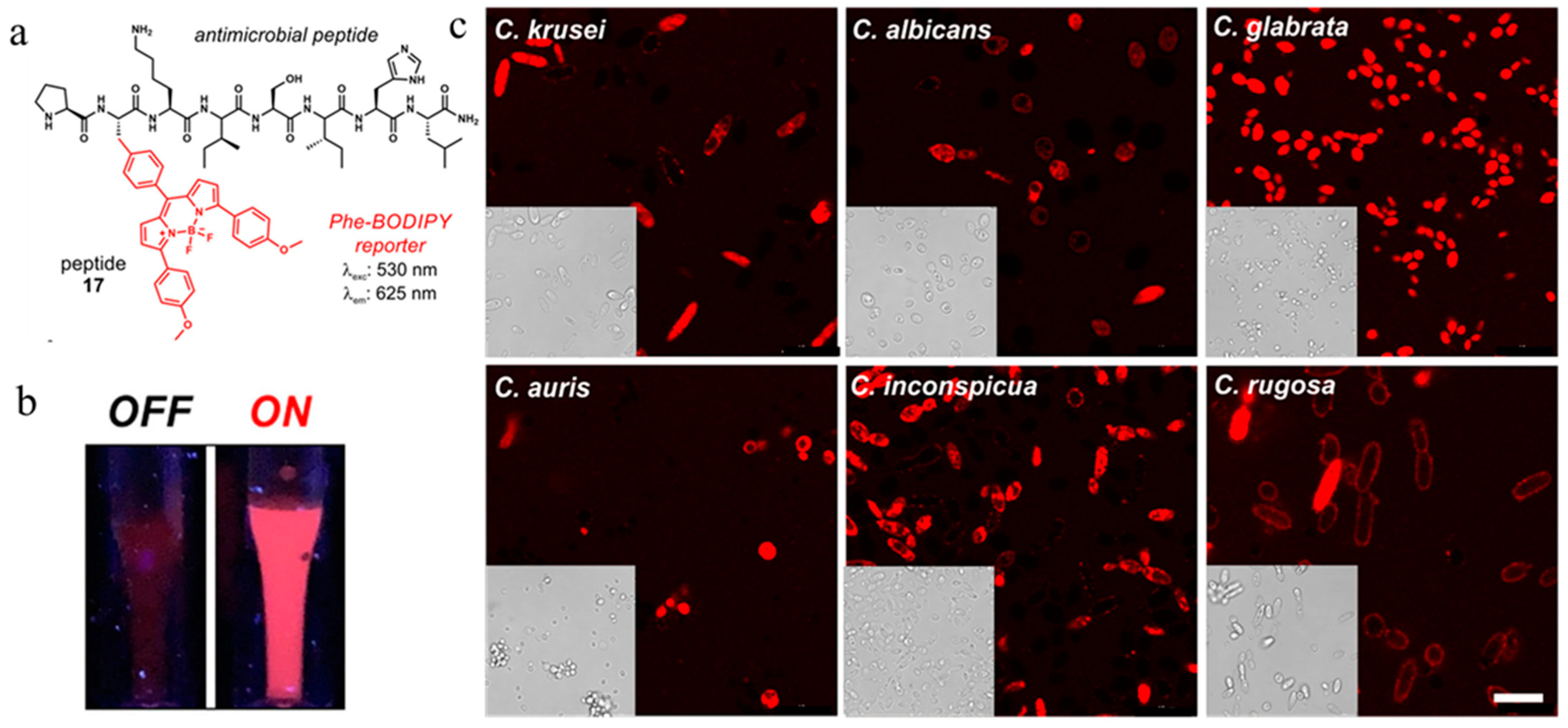 Molecules 27 06440 g013 Molecules 27 06440 g013