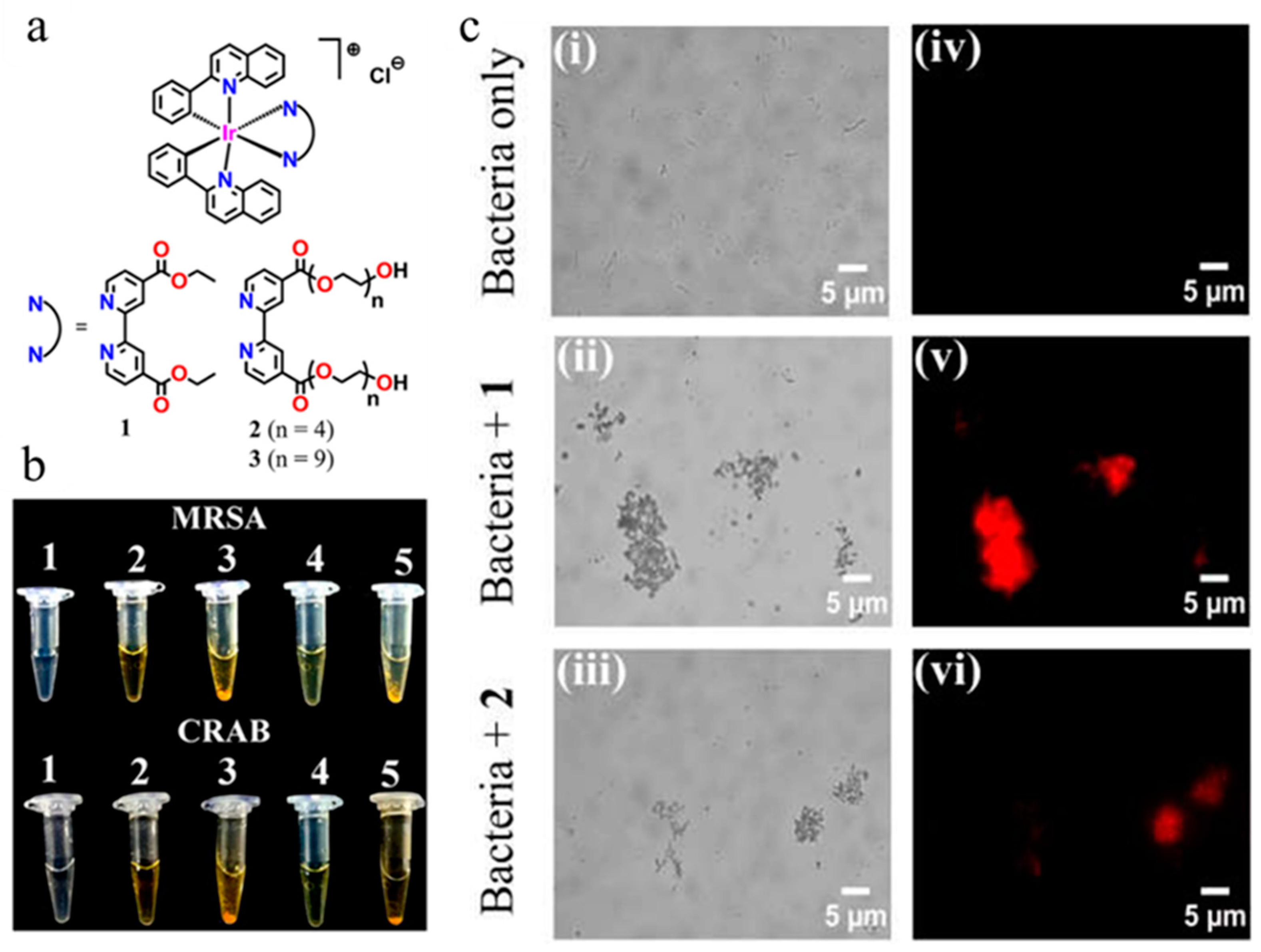 Molecules 27 06440 g020 Molecules 27 06440 g020