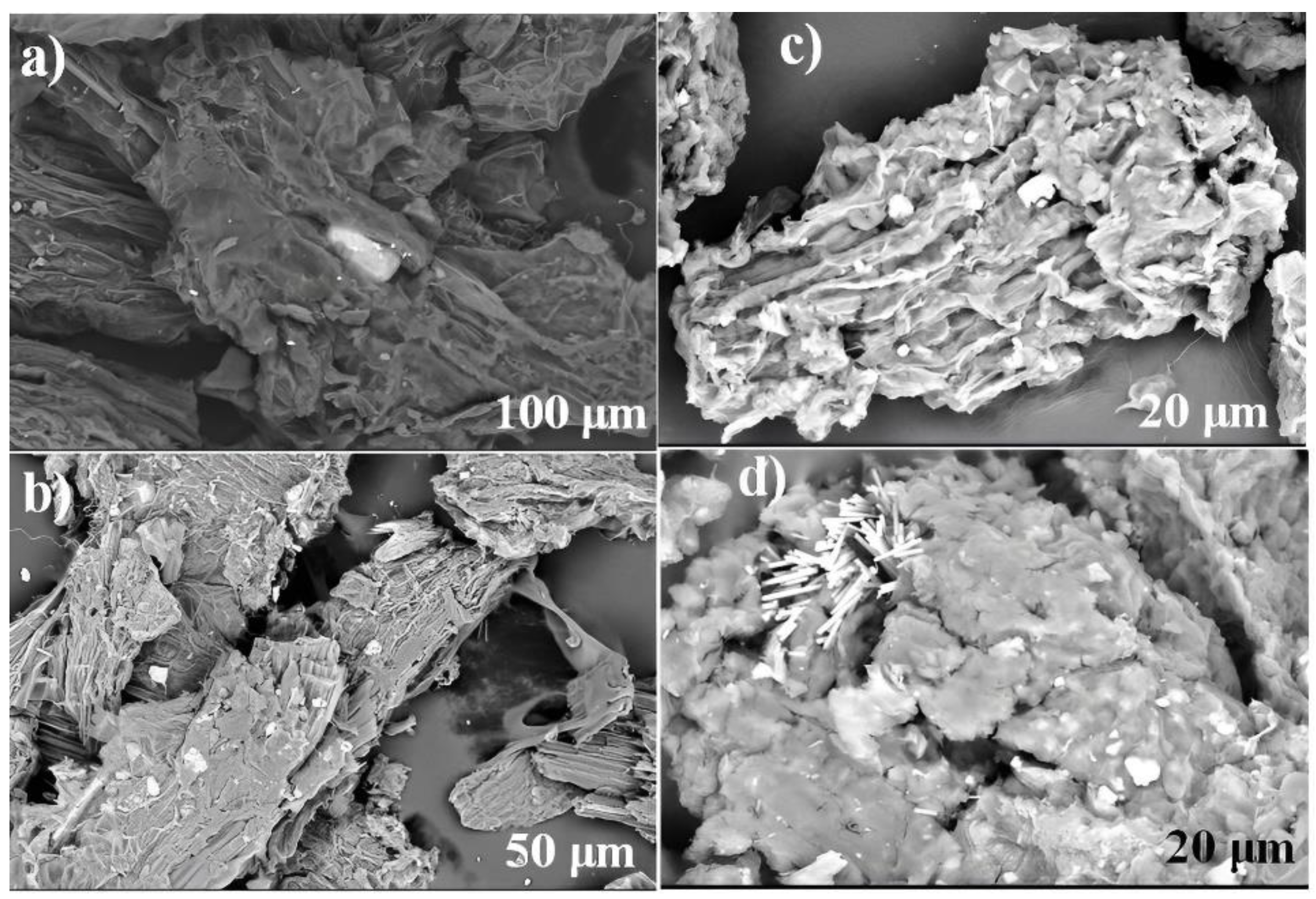 Molecules 27 06442 g007