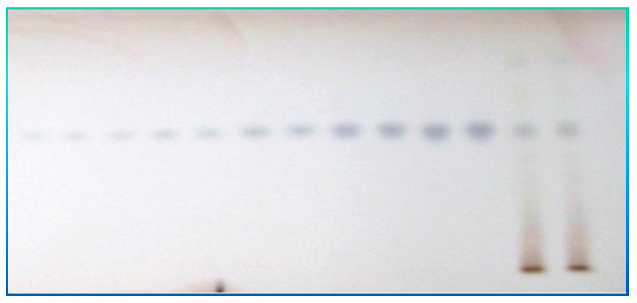 Molecules 27 06444 g003