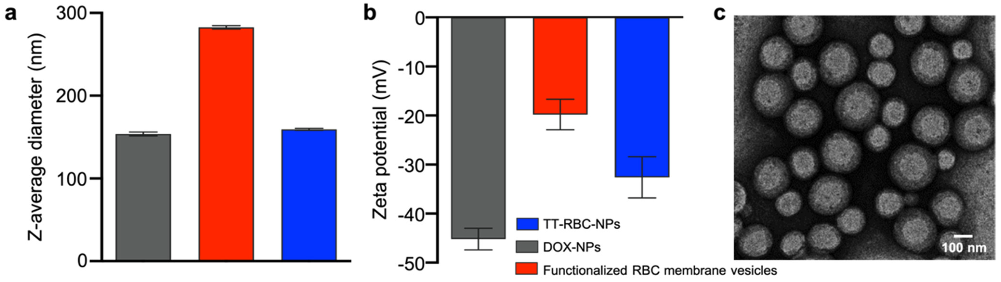 Molecules Free Full Text Biomimetic Targeted Theranostic Nanoparticles For Breast Cancer Treatment Html