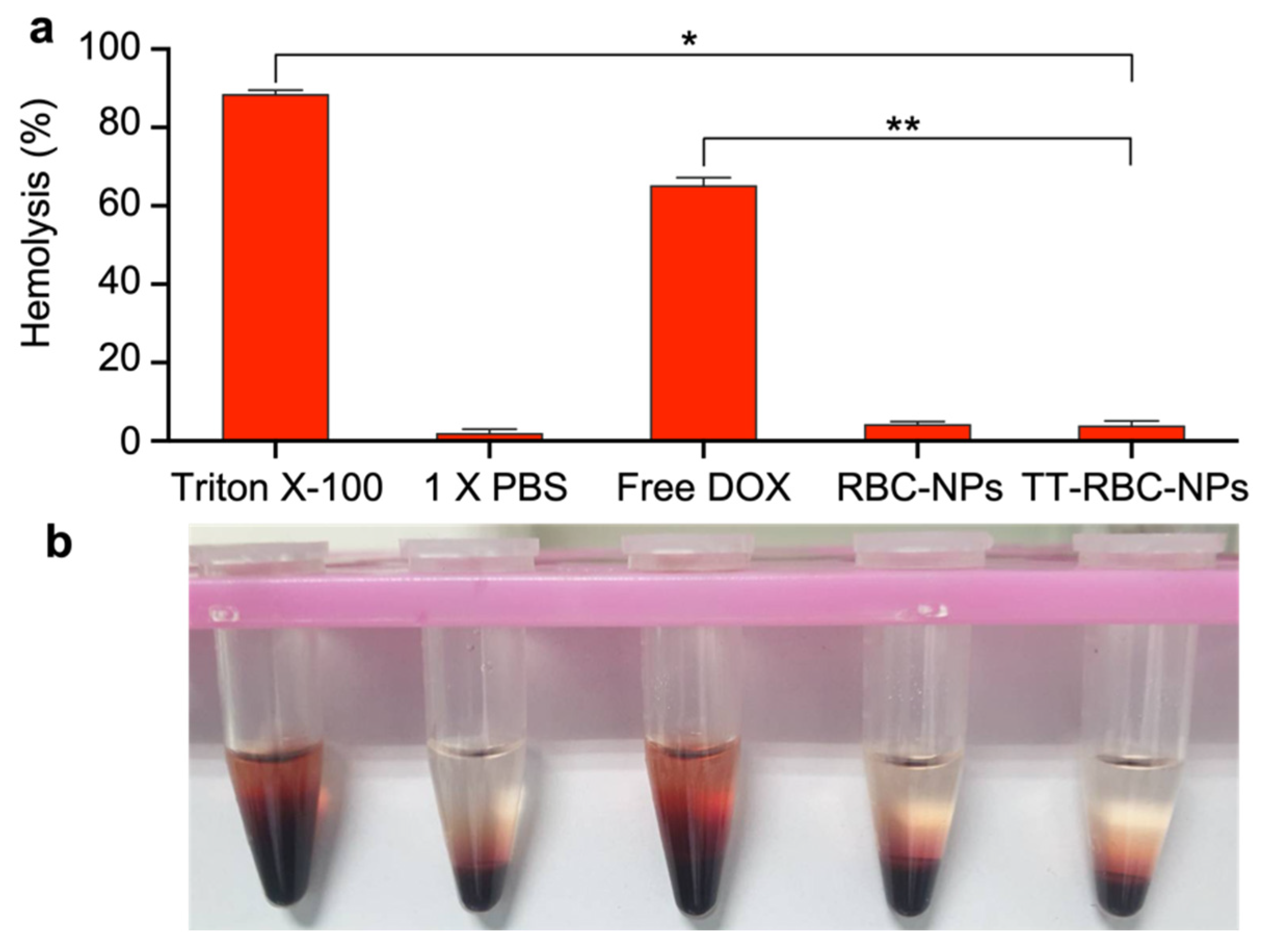 Molecules Free Full Text Biomimetic Targeted Theranostic Nanoparticles For Breast Cancer Treatment Html