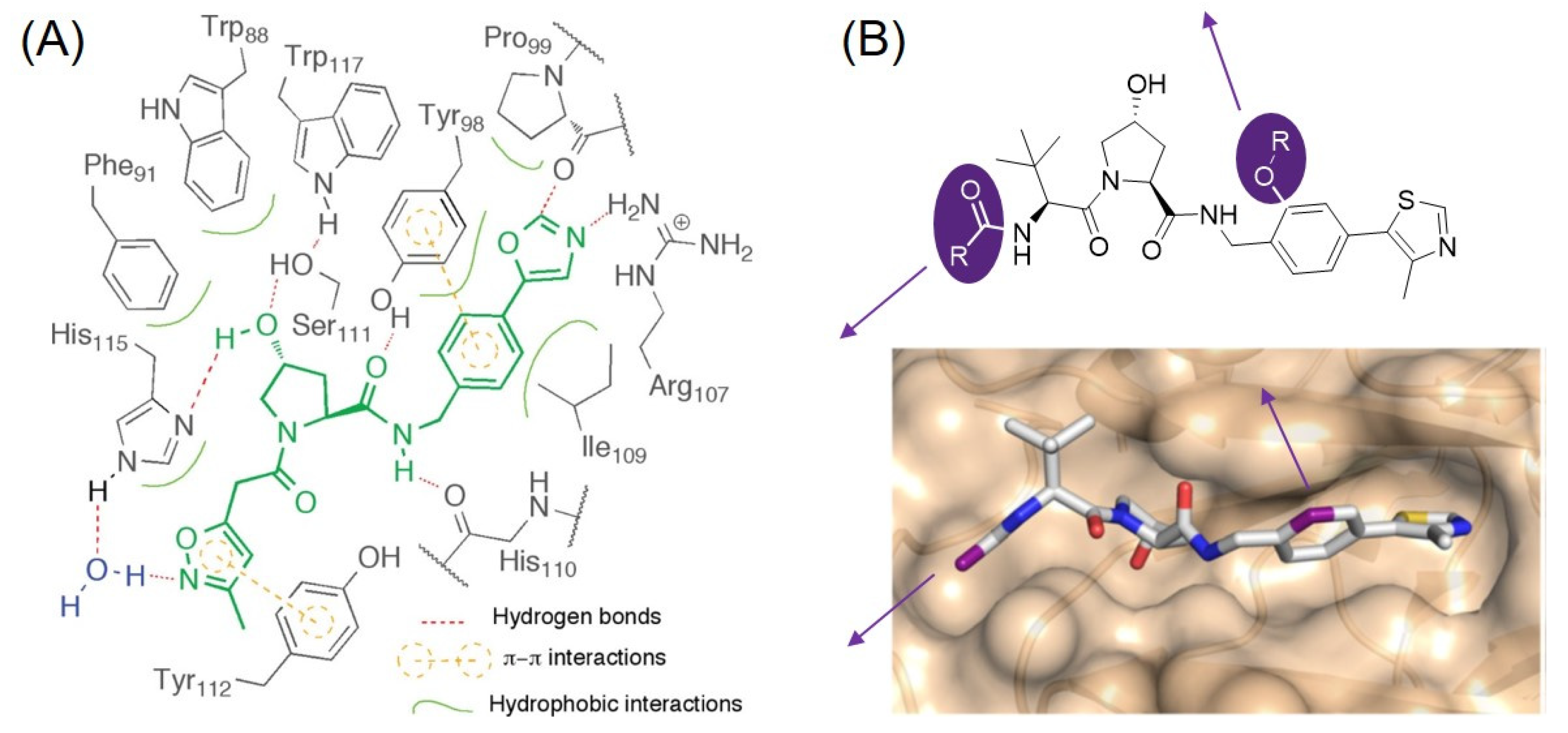 Molecules 27 06515 g005