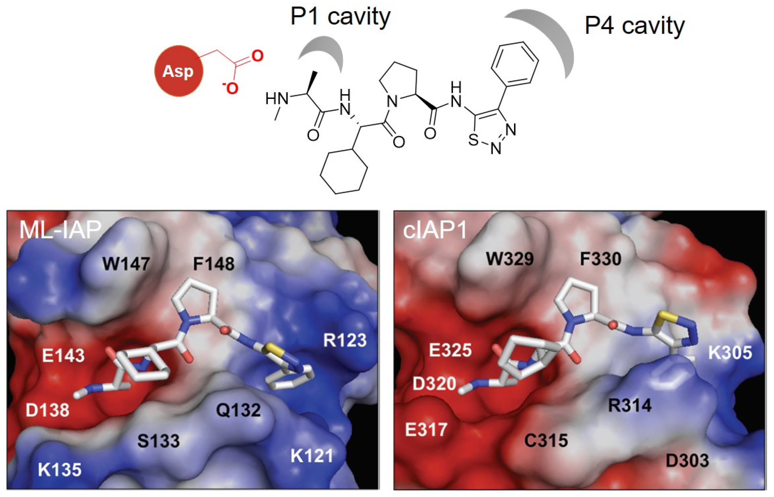 Molecules 27 06515 g009